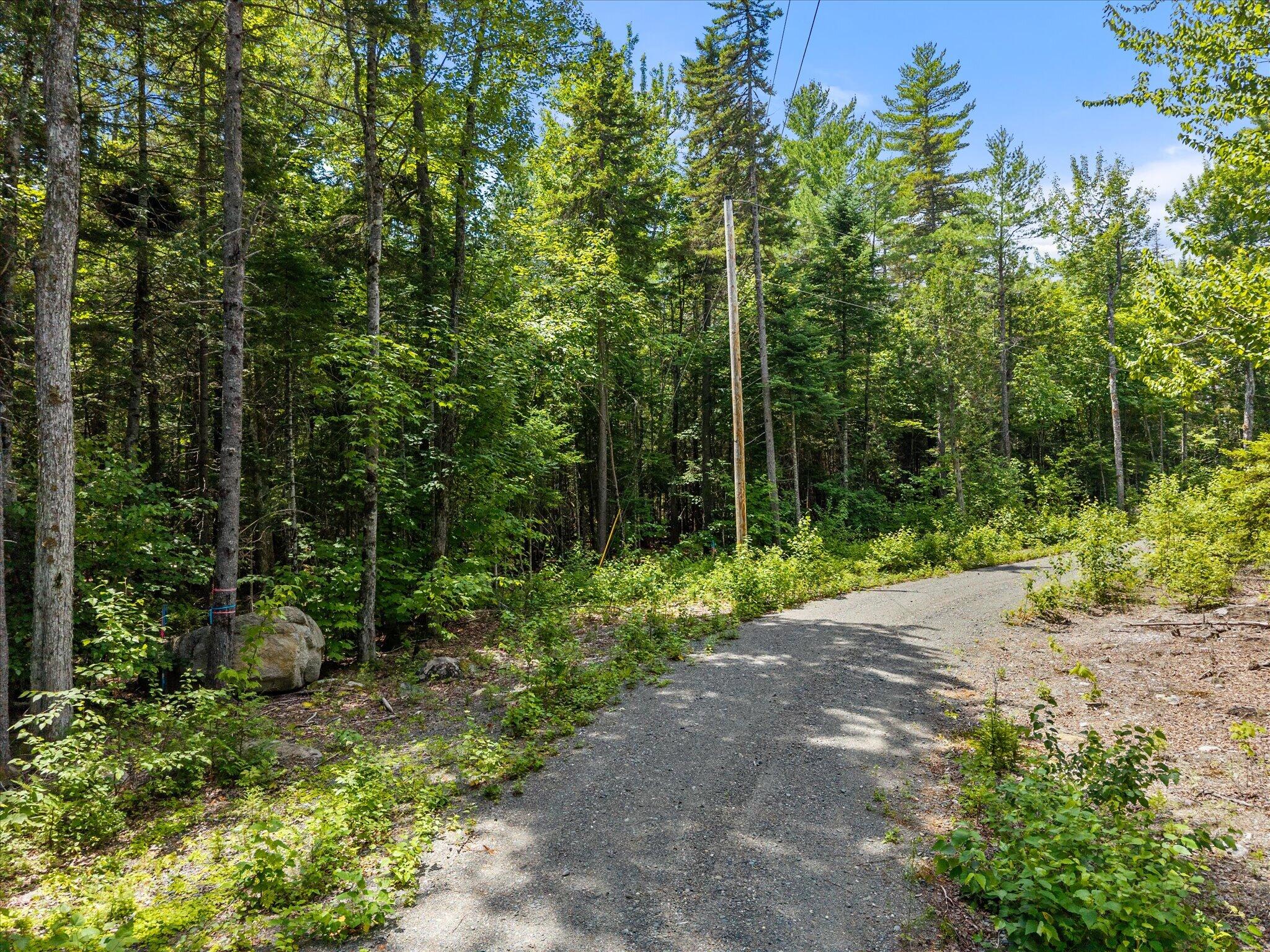 Lot#9a Railroad Bed Road Property Photo 5