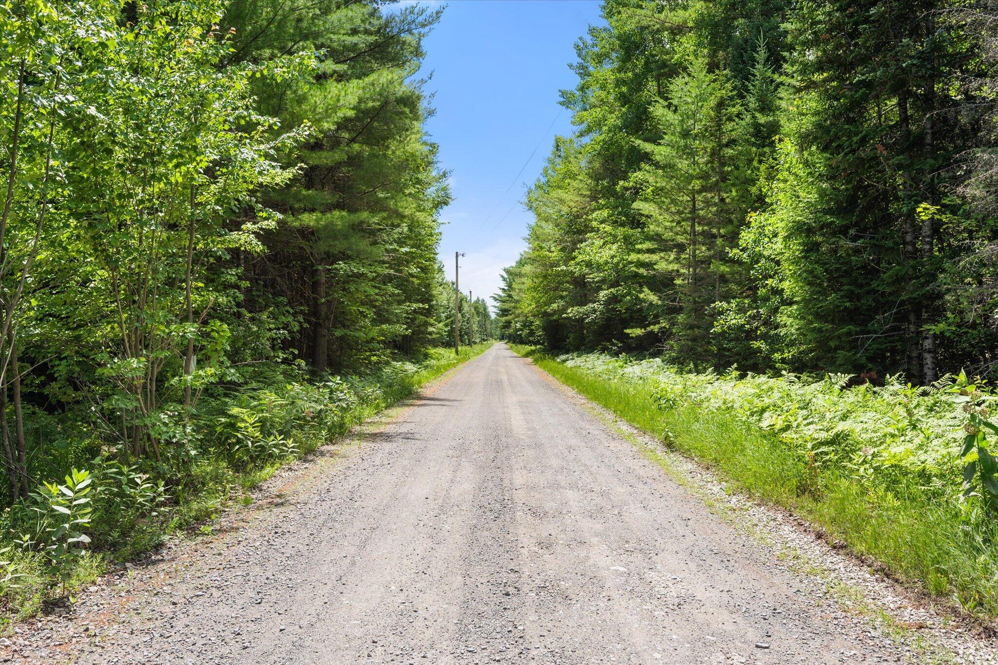 Lot#9a Railroad Bed Road Property Photo 7
