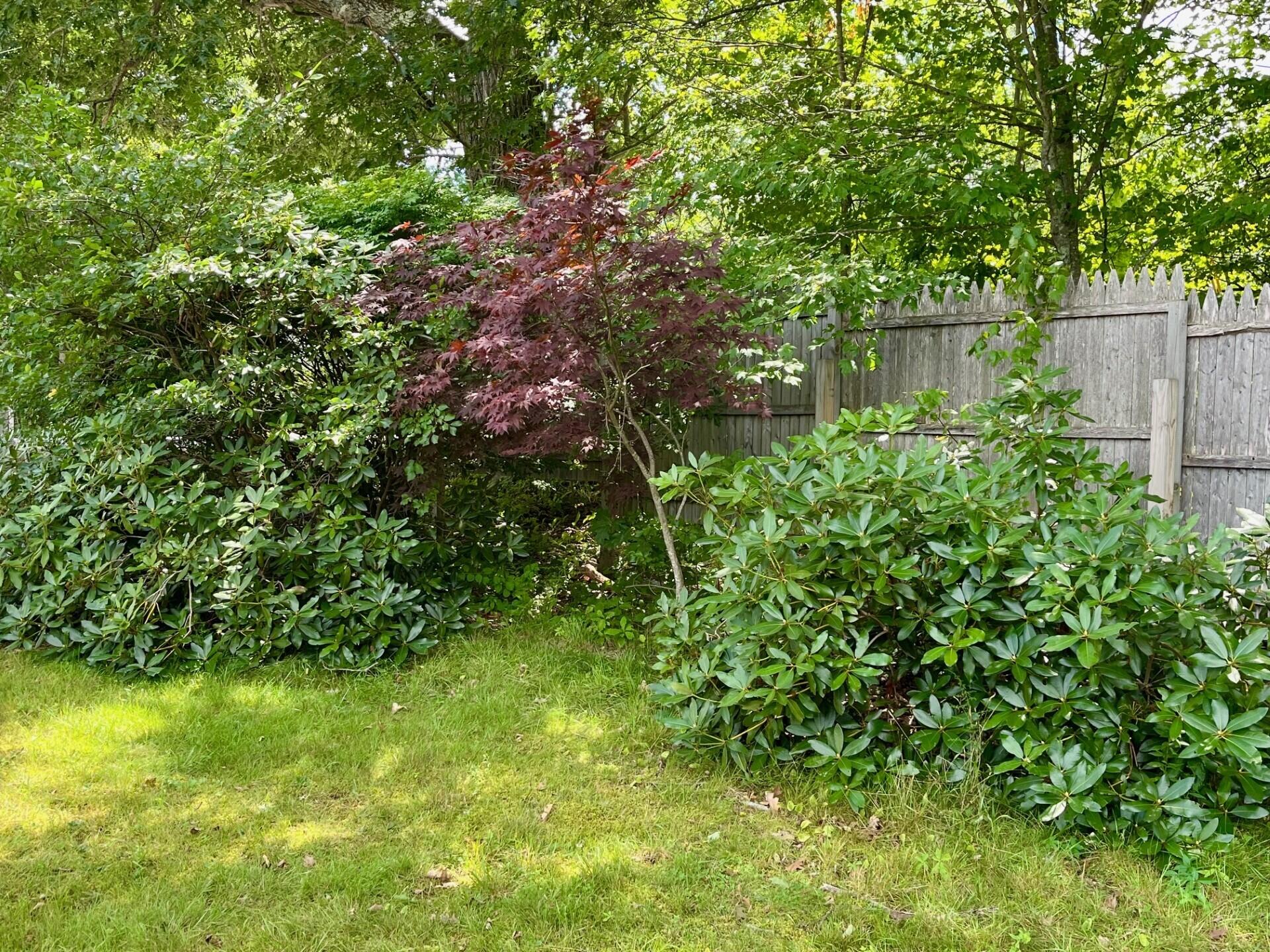 766 Brunswick Road Property Photo 26