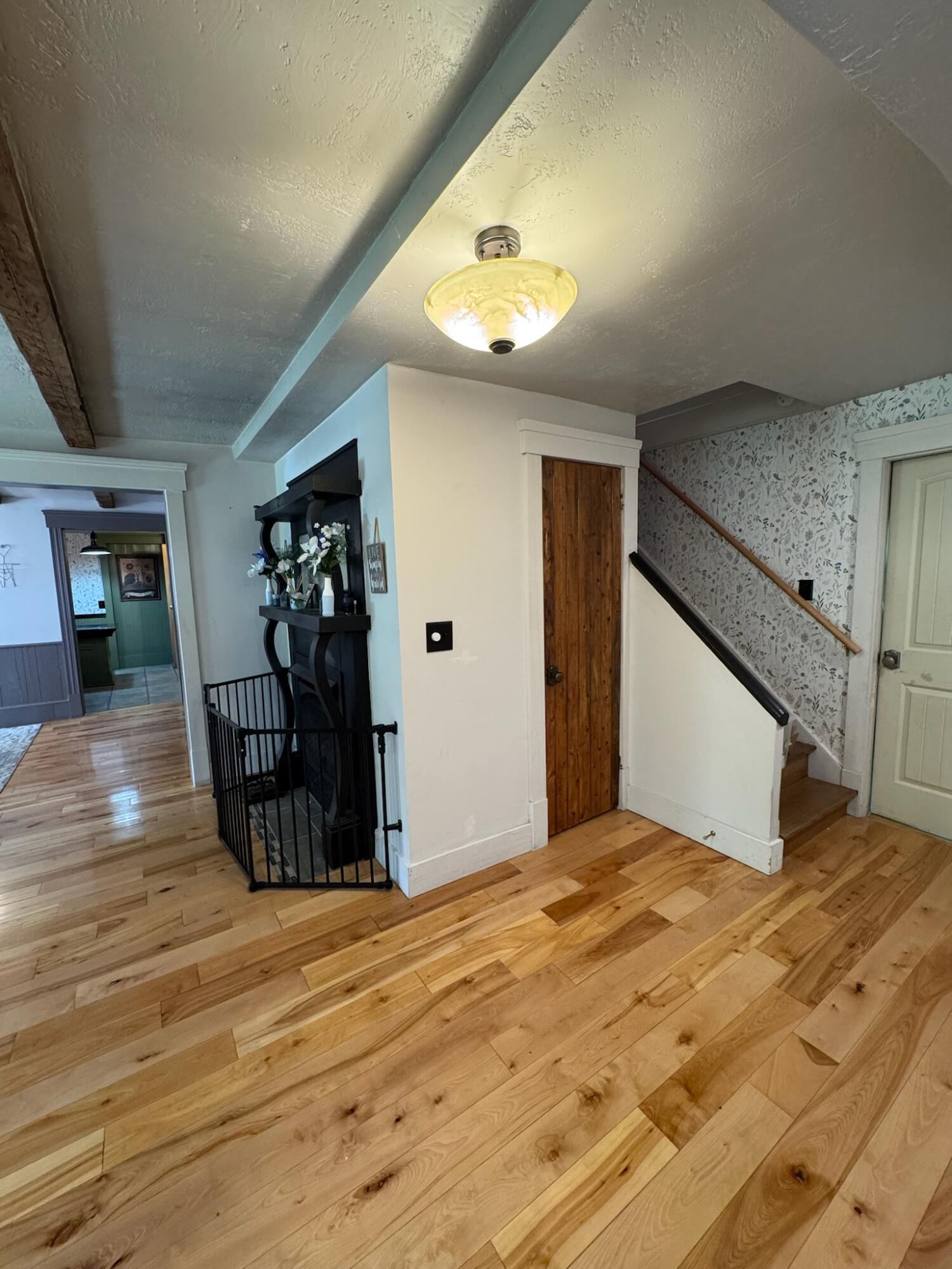 20 Charlotte Road Property Photo 9
