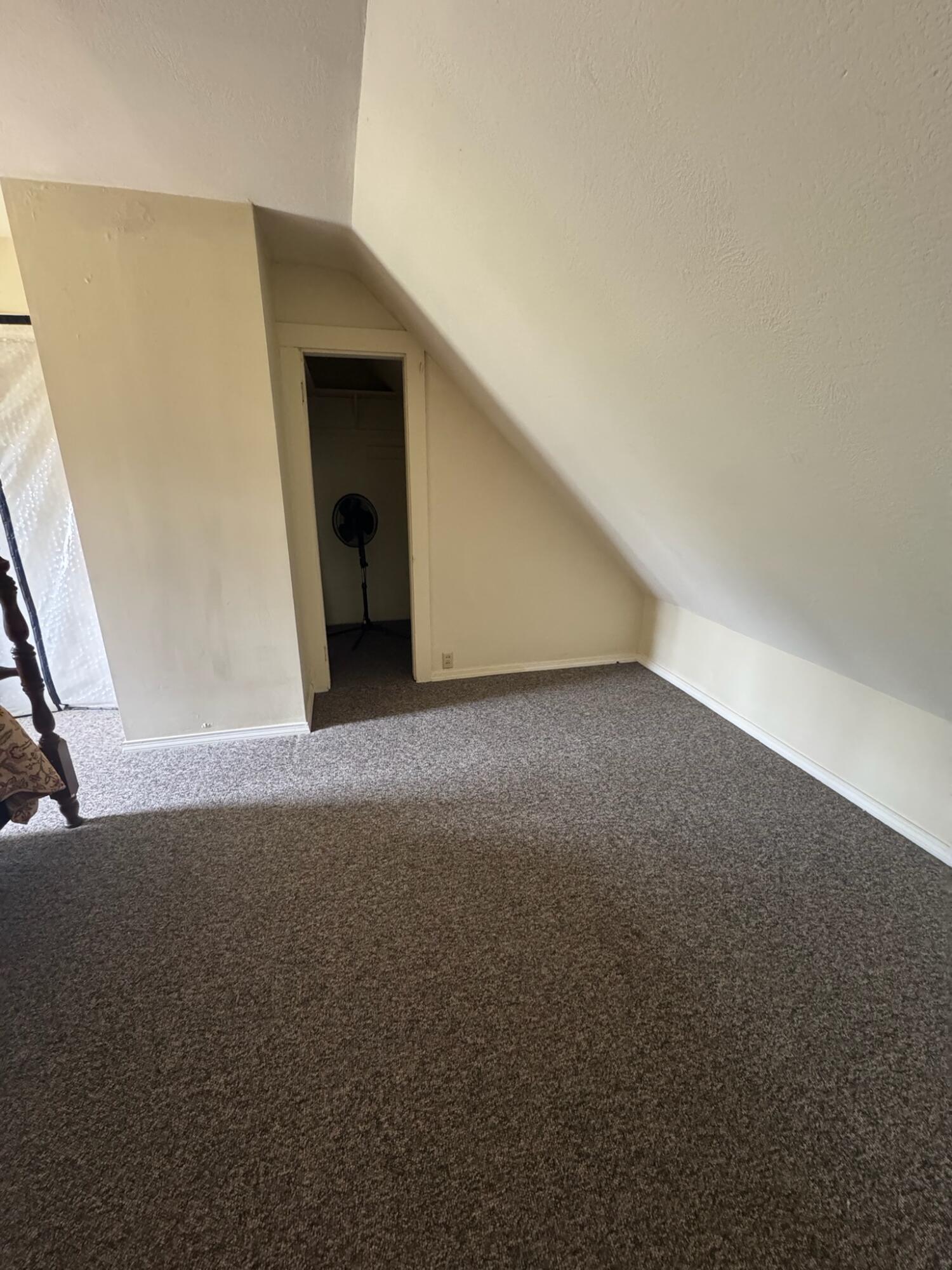 20 Charlotte Road Property Photo 65