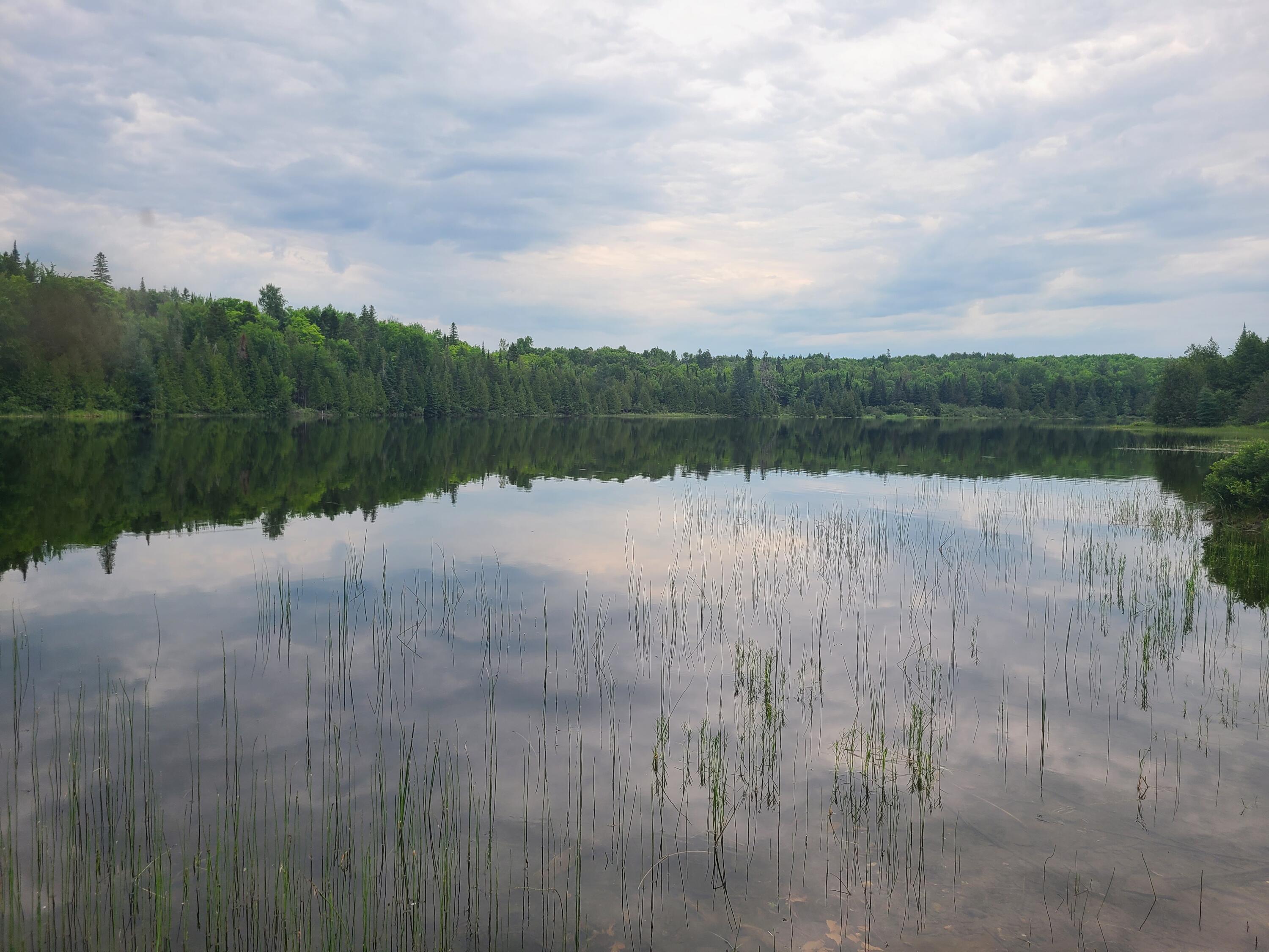 Lot 4 & 5 Russell Lake Road Property Photo 2