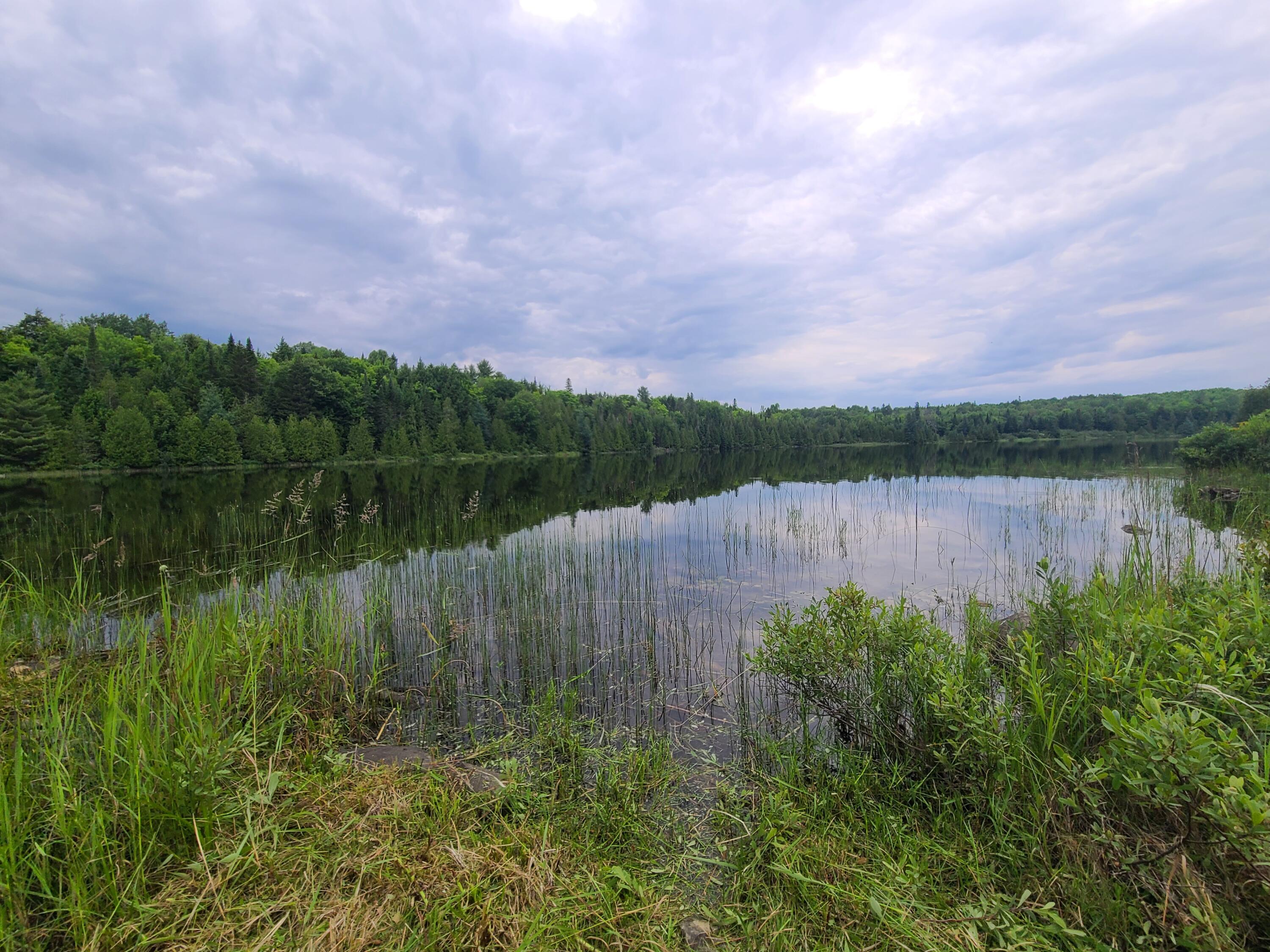 Lot 4 & 5 Russell Lake Road Property Photo 5