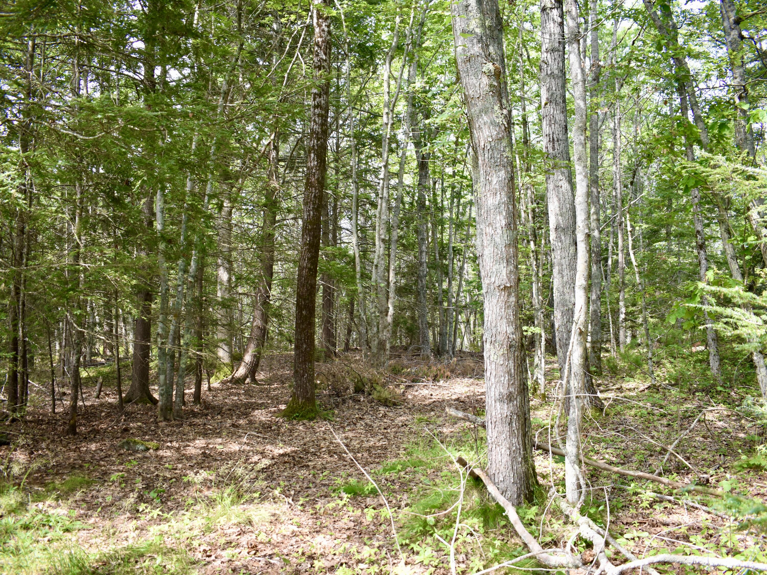 115 Campbell Pond Road Property Photo 39