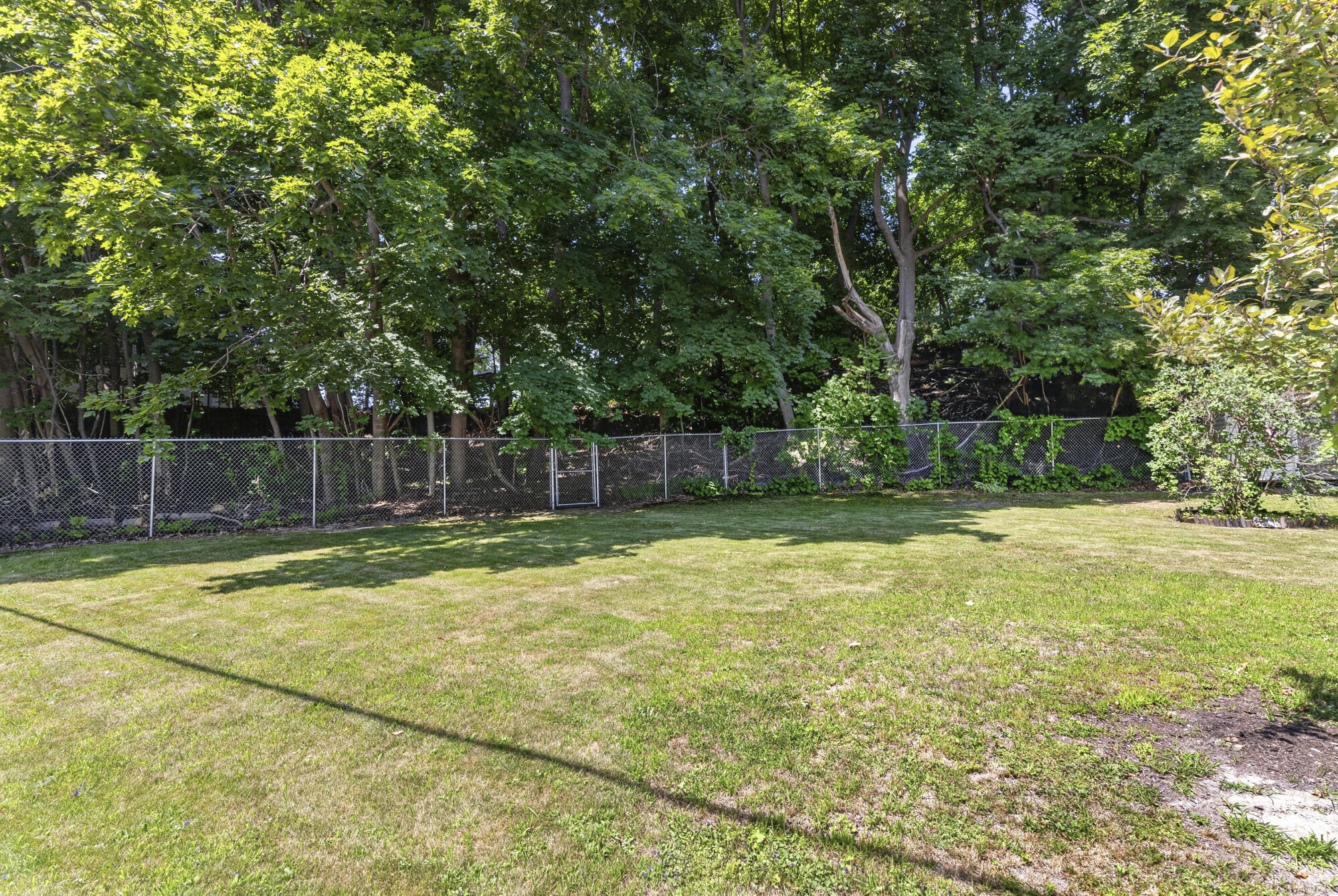 32 Taft Avenue Property Photo 25