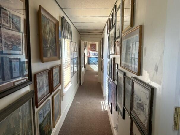 11 Winter Street Property Photo 5