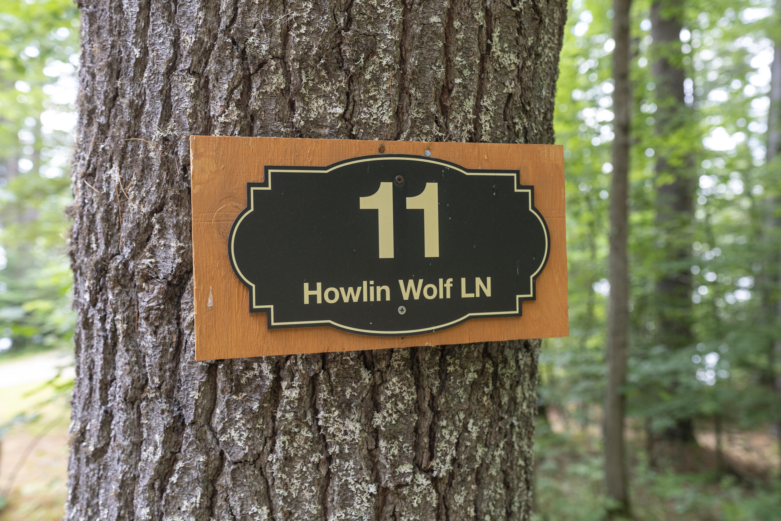 11 Howlin Wolf Lane Property Photo 2