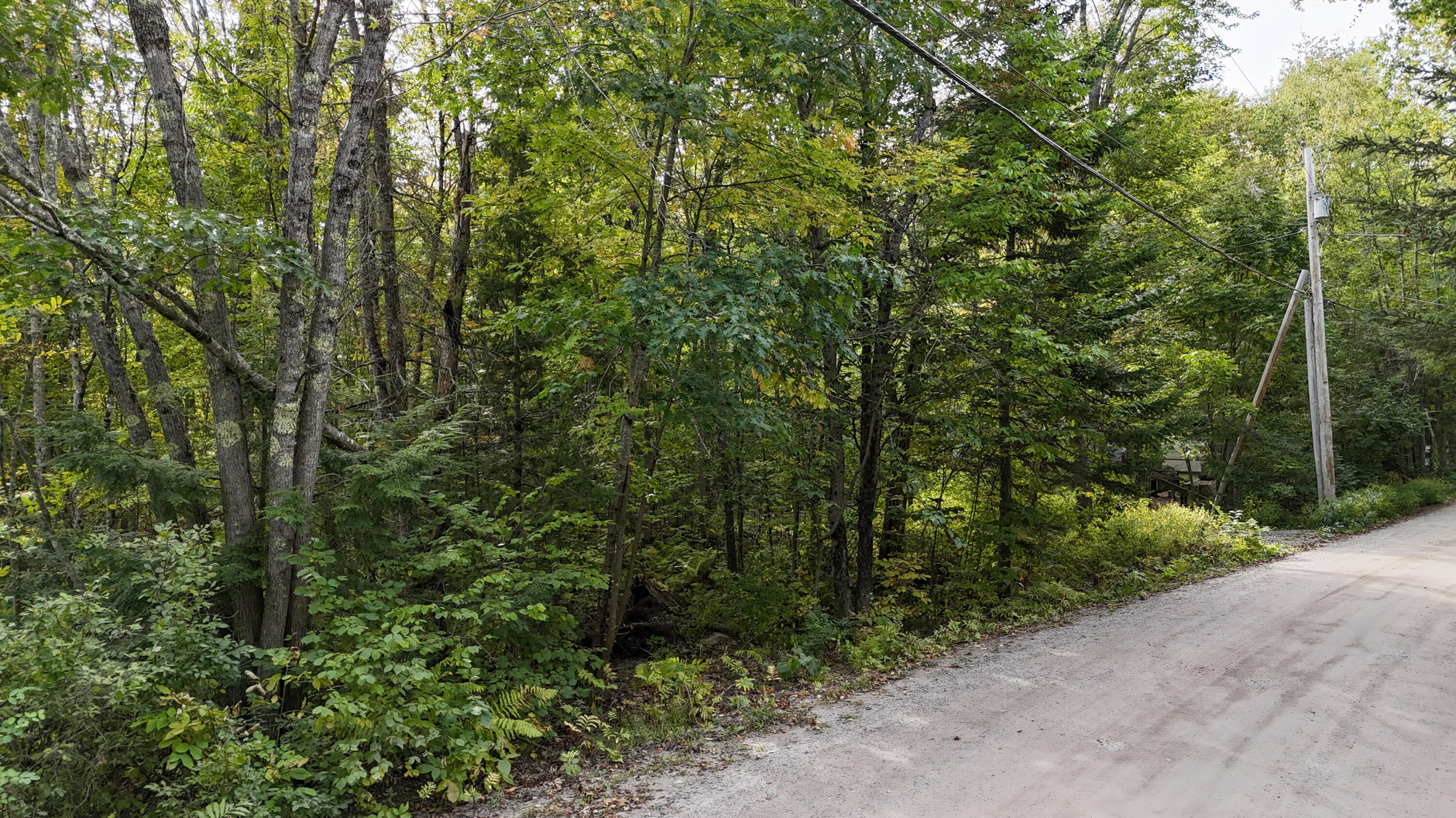0 Plummer Drive Property Photo 2