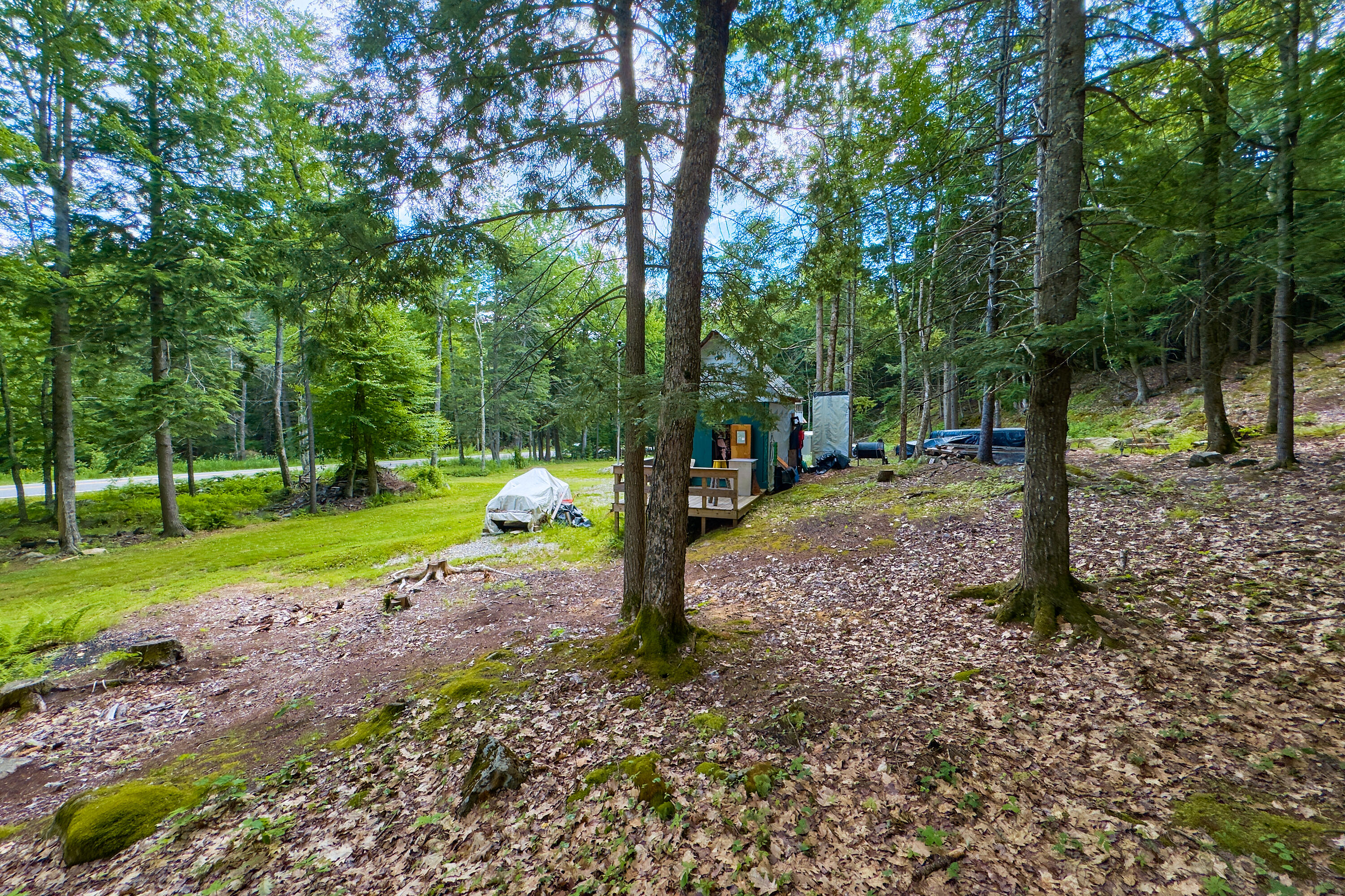 56 Camden Road Property Photo 6