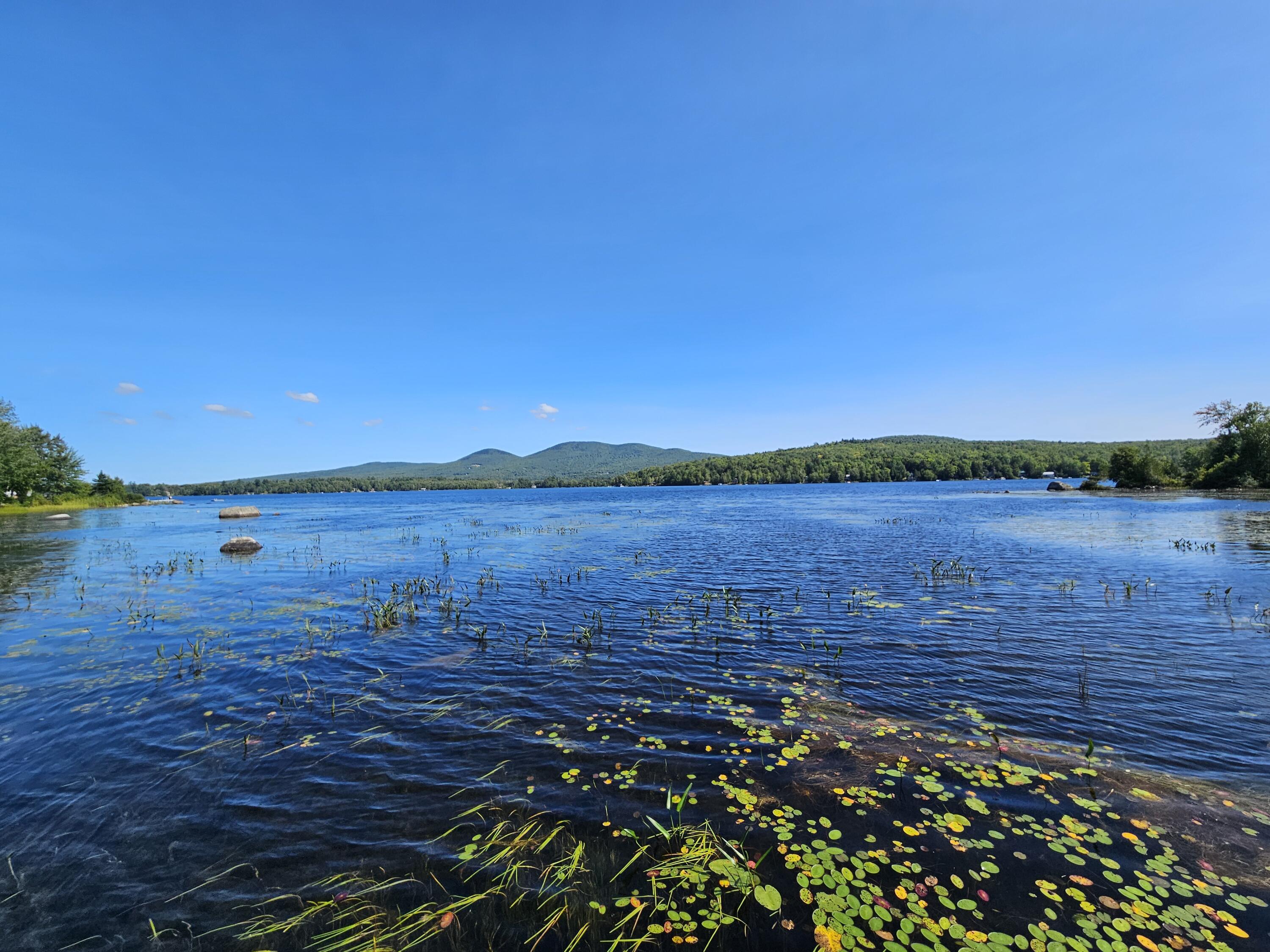 M U10 L6 Loon Cove Lane Property Photo 12