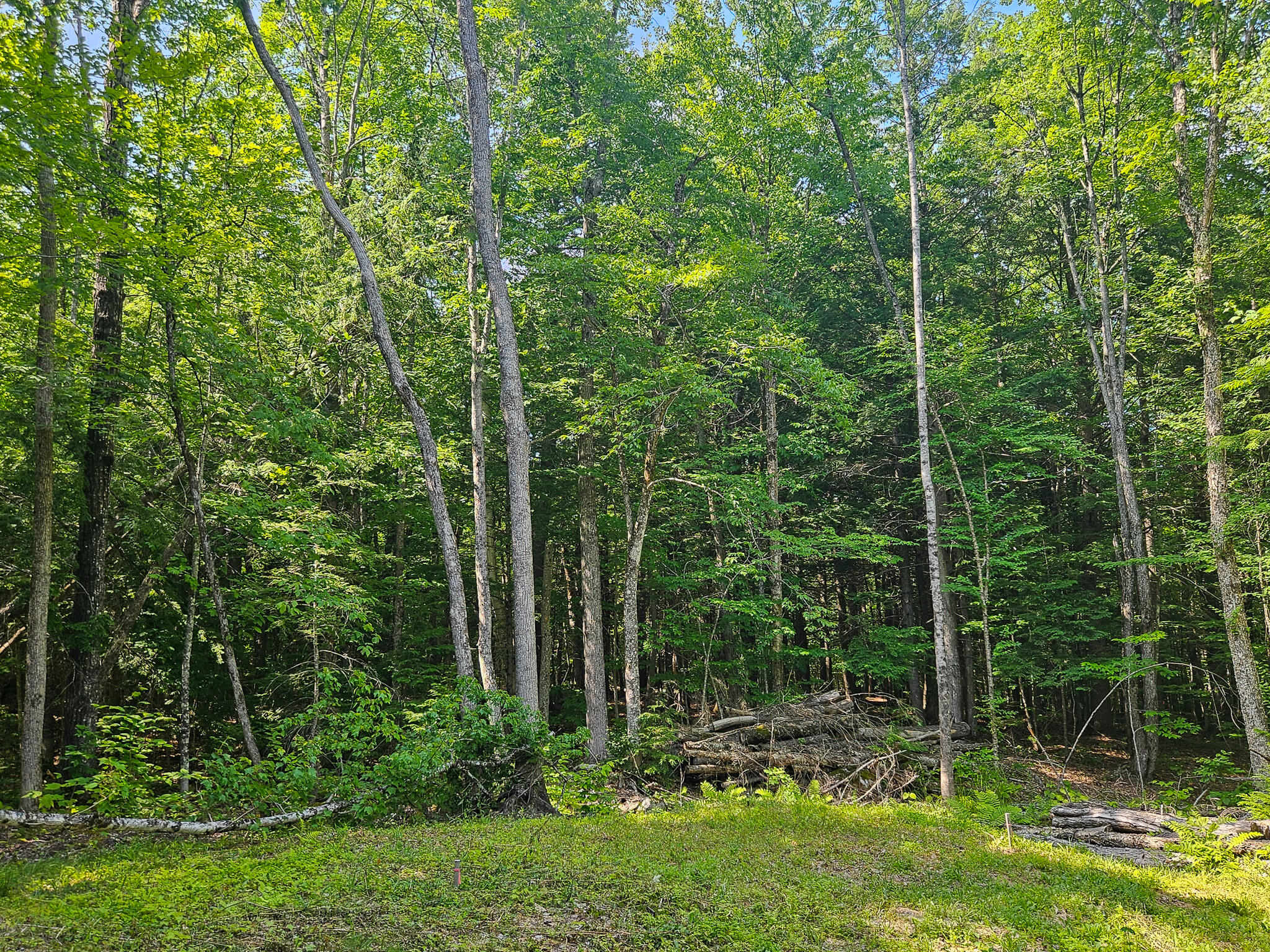 M U10 L6 Loon Cove Lane Property Photo 41