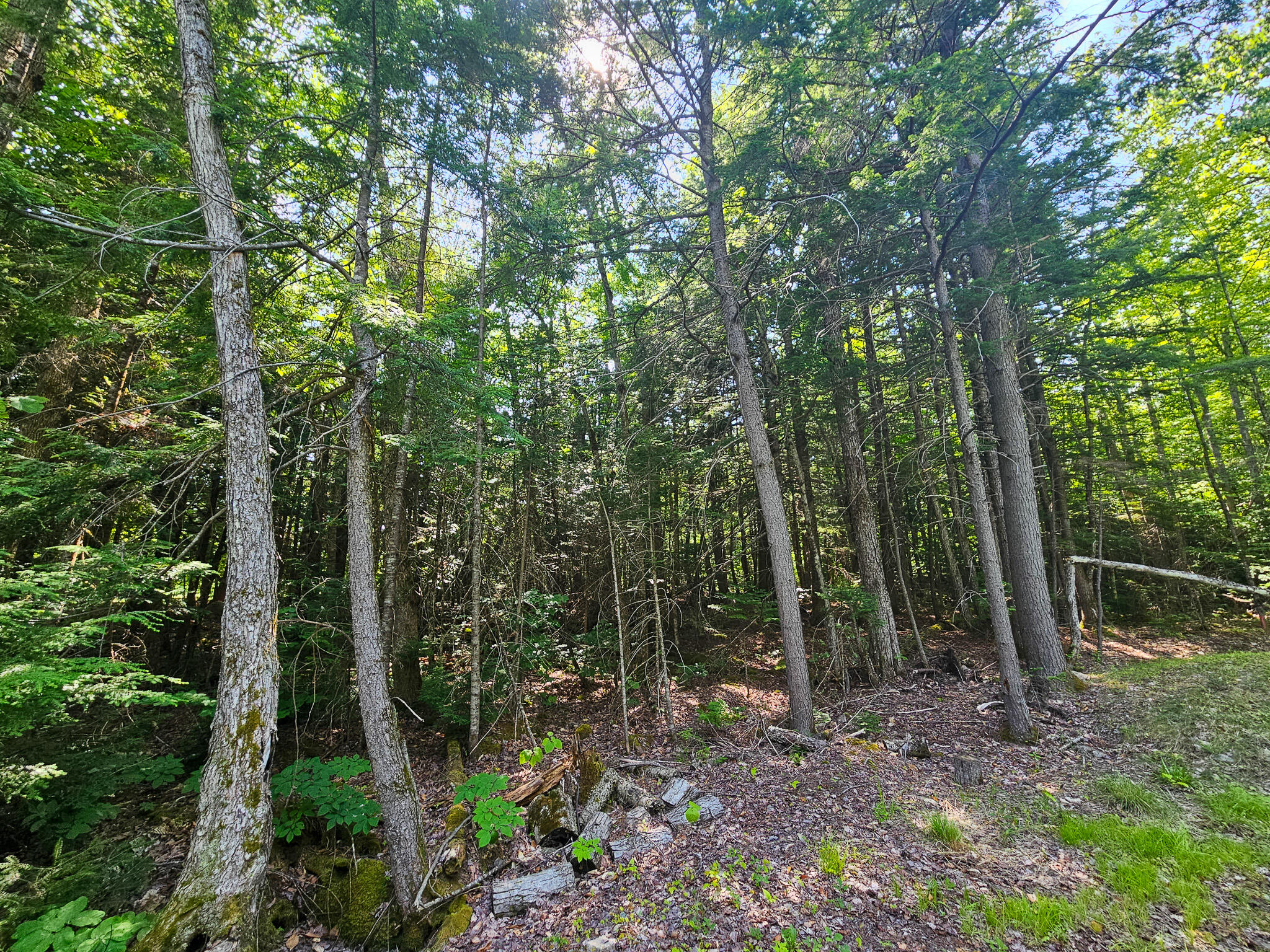 M U10 L6 Loon Cove Lane Property Photo 42