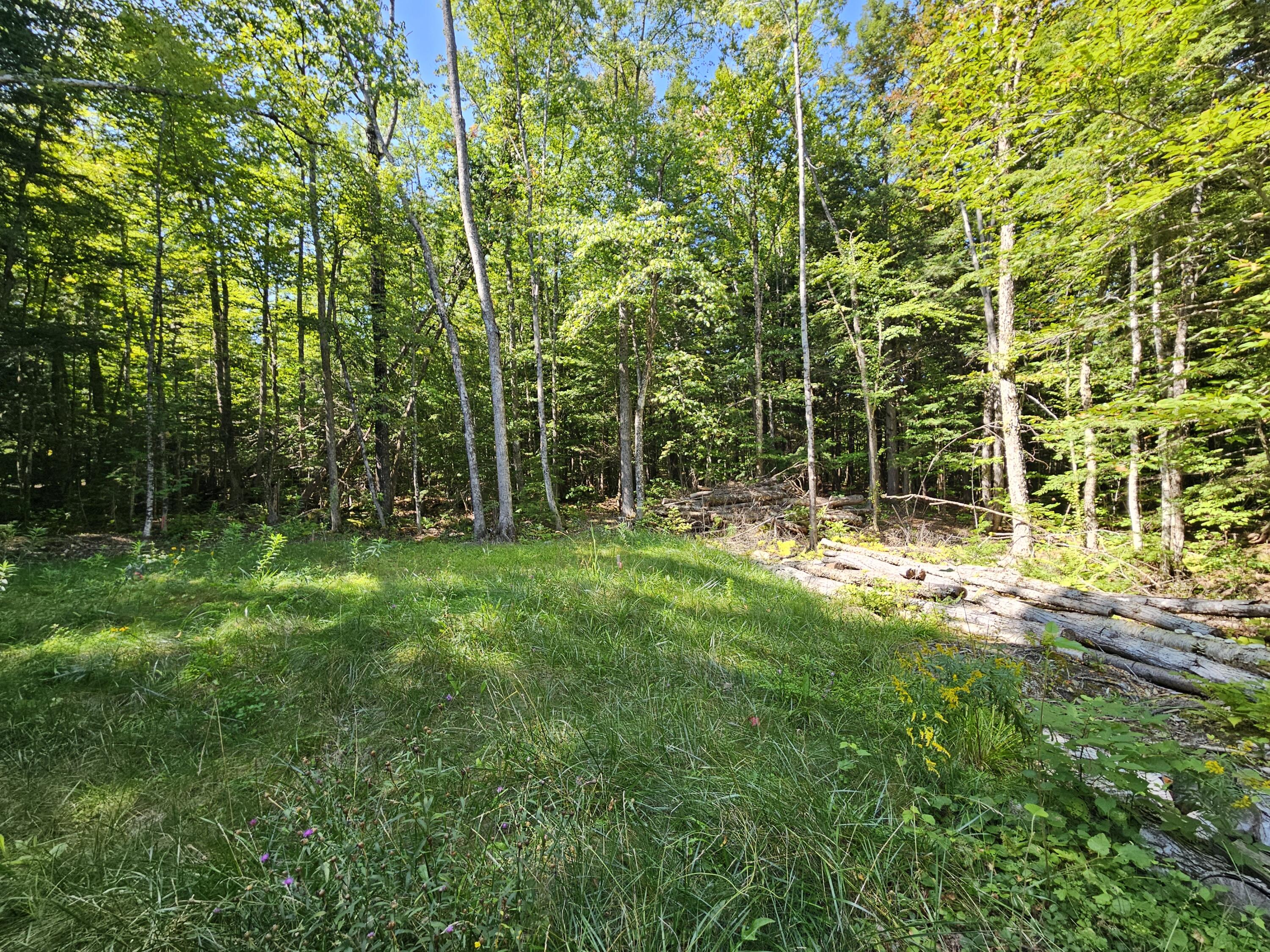 M U10 L6 Loon Cove Lane Property Photo 43