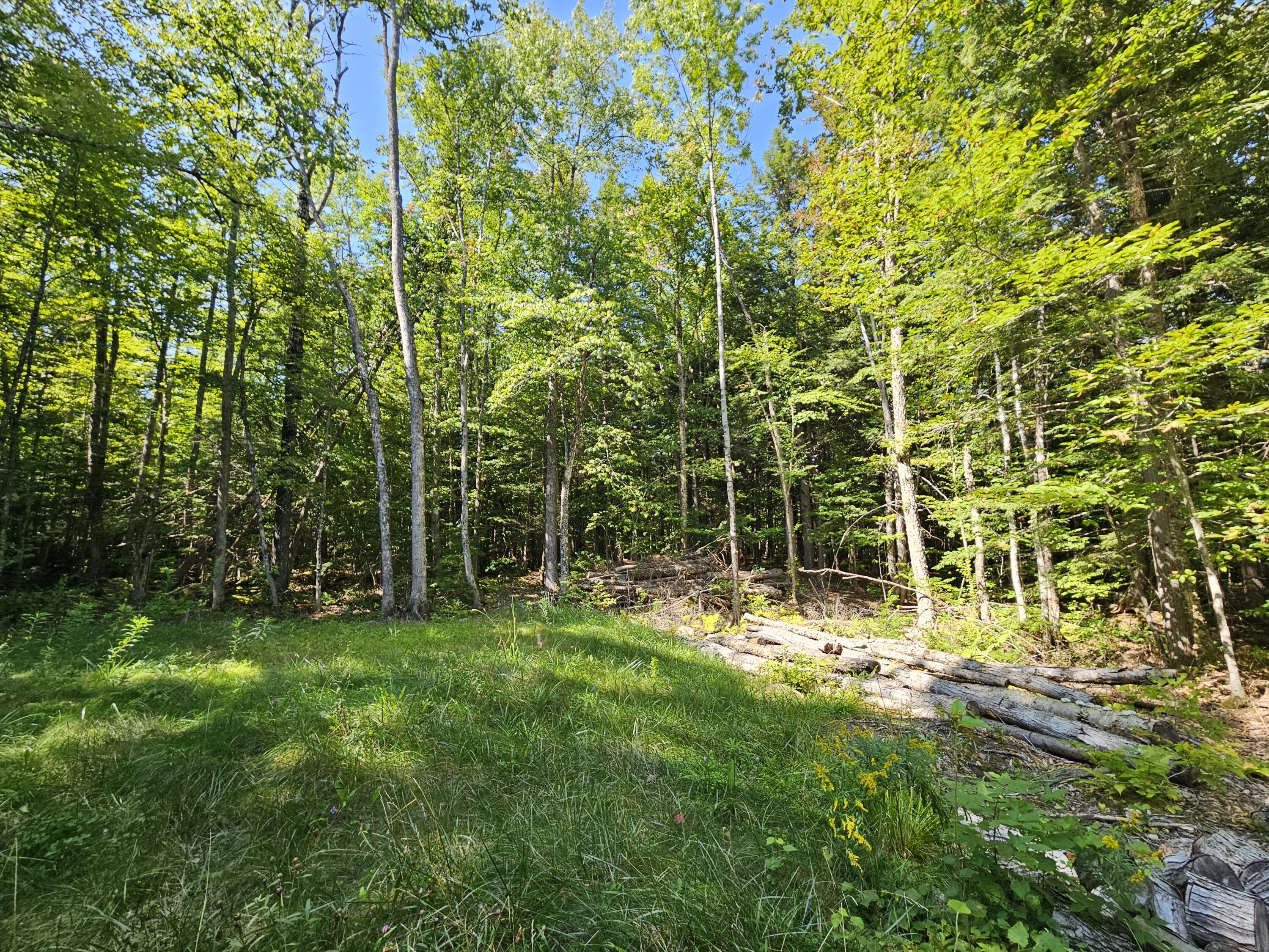 M U10 L6 Loon Cove Lane Property Photo 44