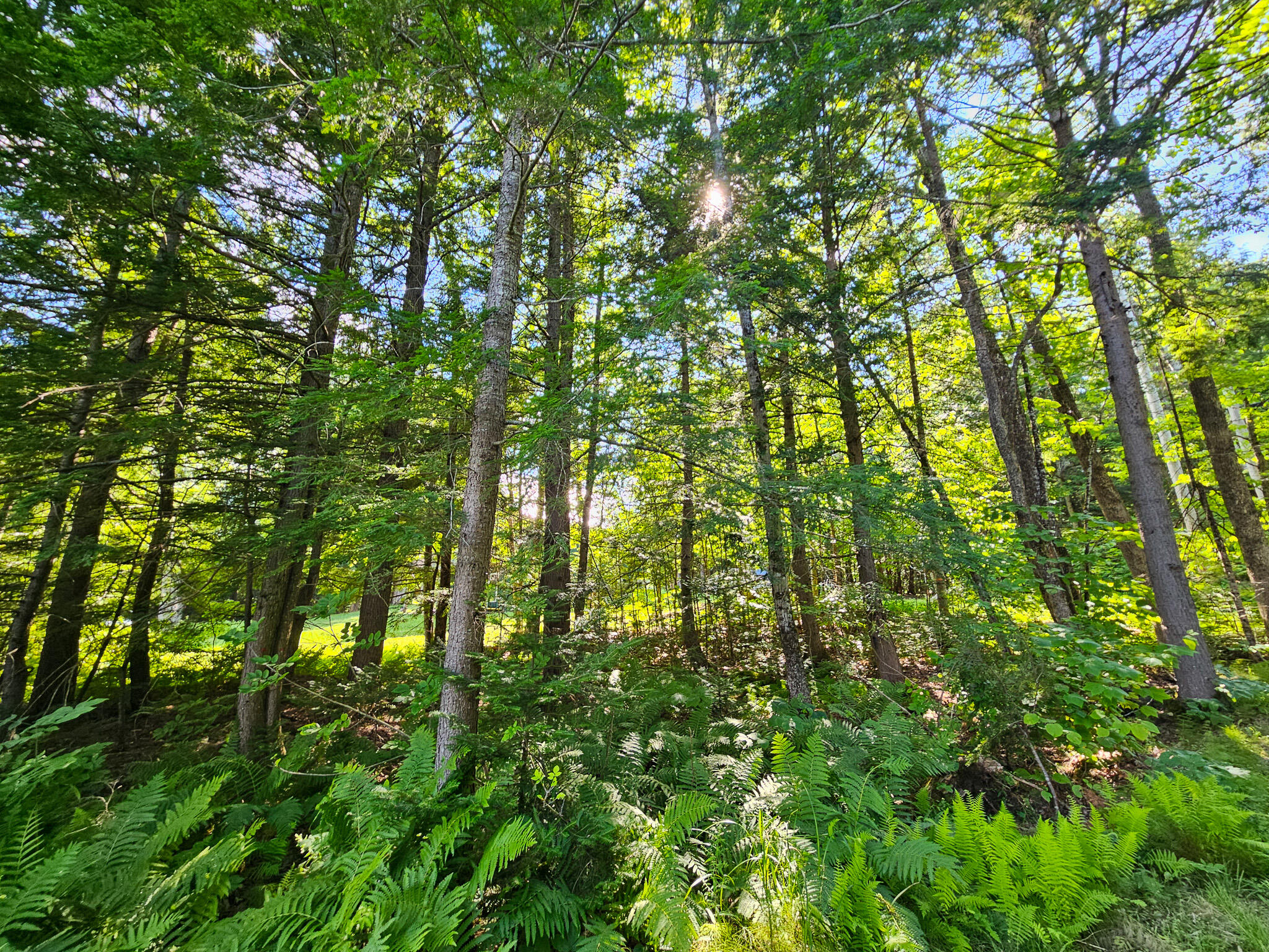 M U10 L6 Loon Cove Lane Property Photo 45