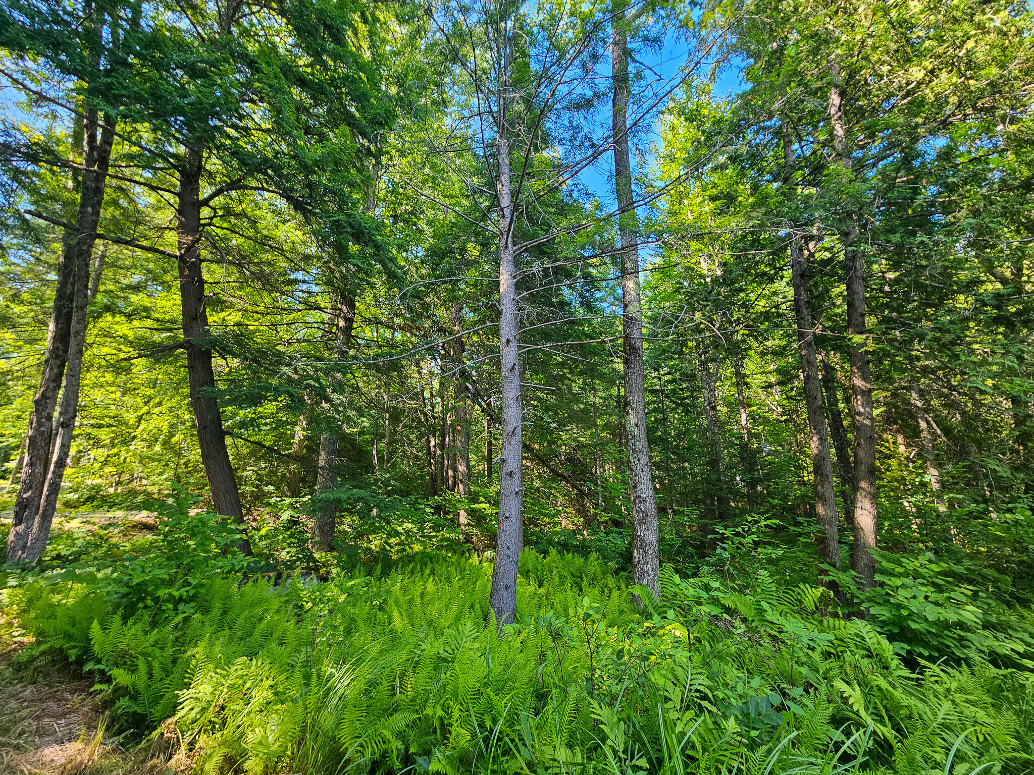 M U10 L6 Loon Cove Lane Property Photo 46