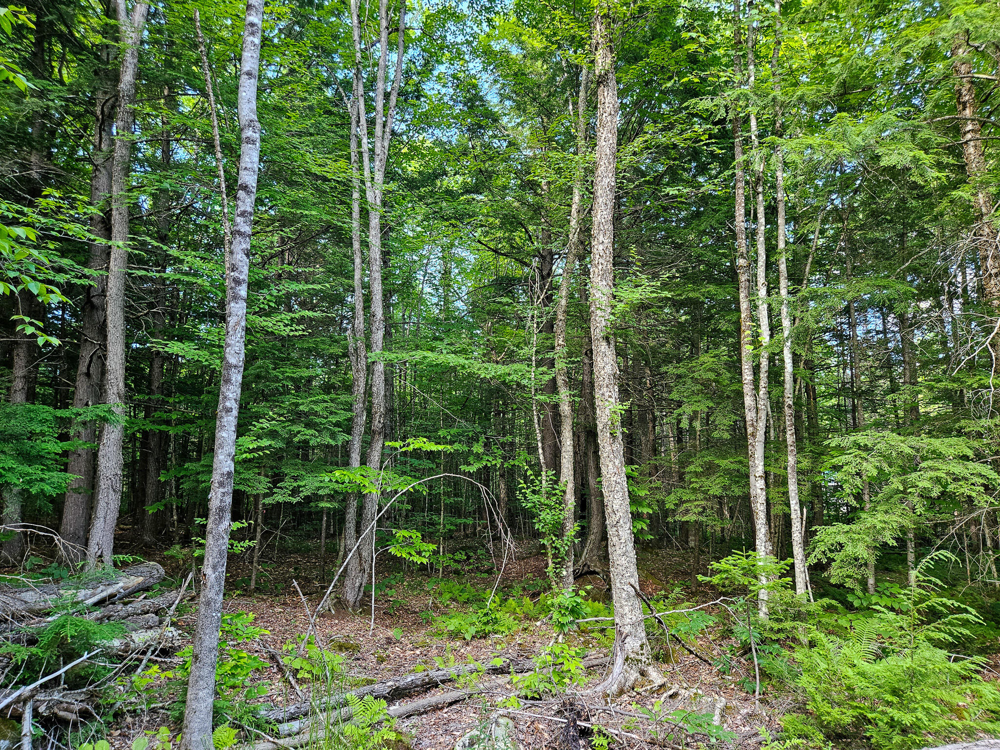 M U10 L6 Loon Cove Lane Property Photo 48