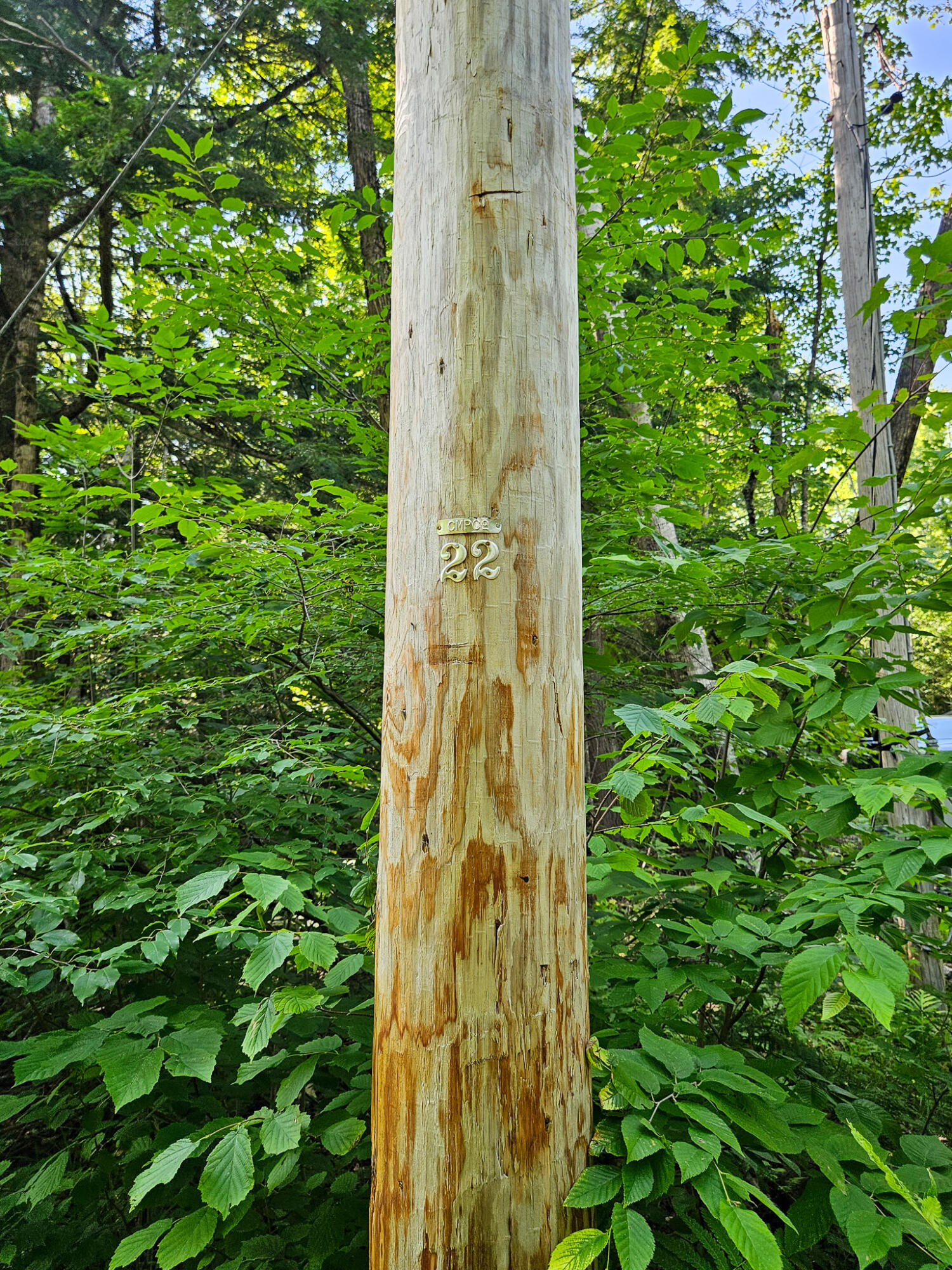 M U10 L6 Loon Cove Lane Property Photo 55