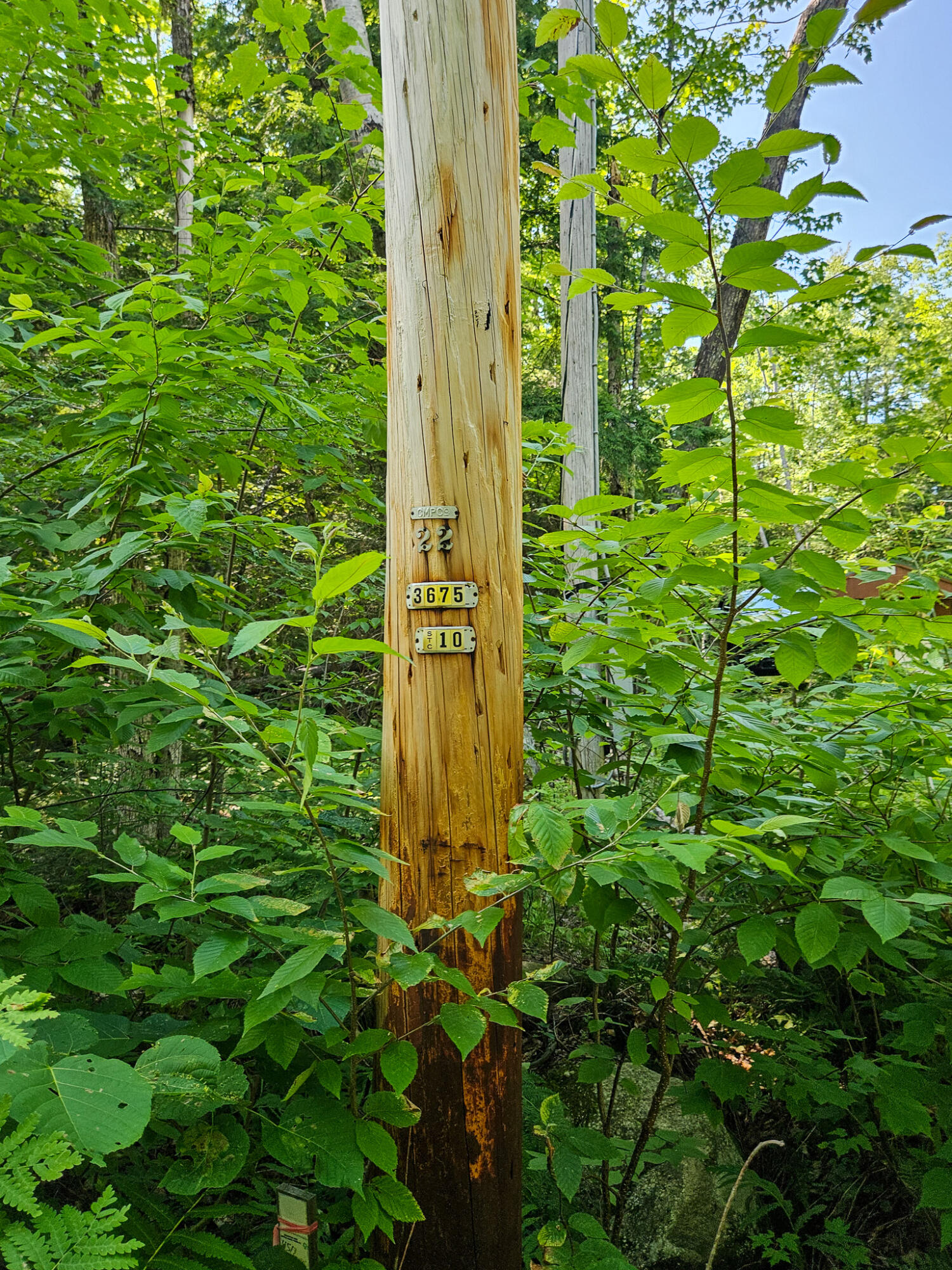 M U10 L6 Loon Cove Lane Property Photo 56