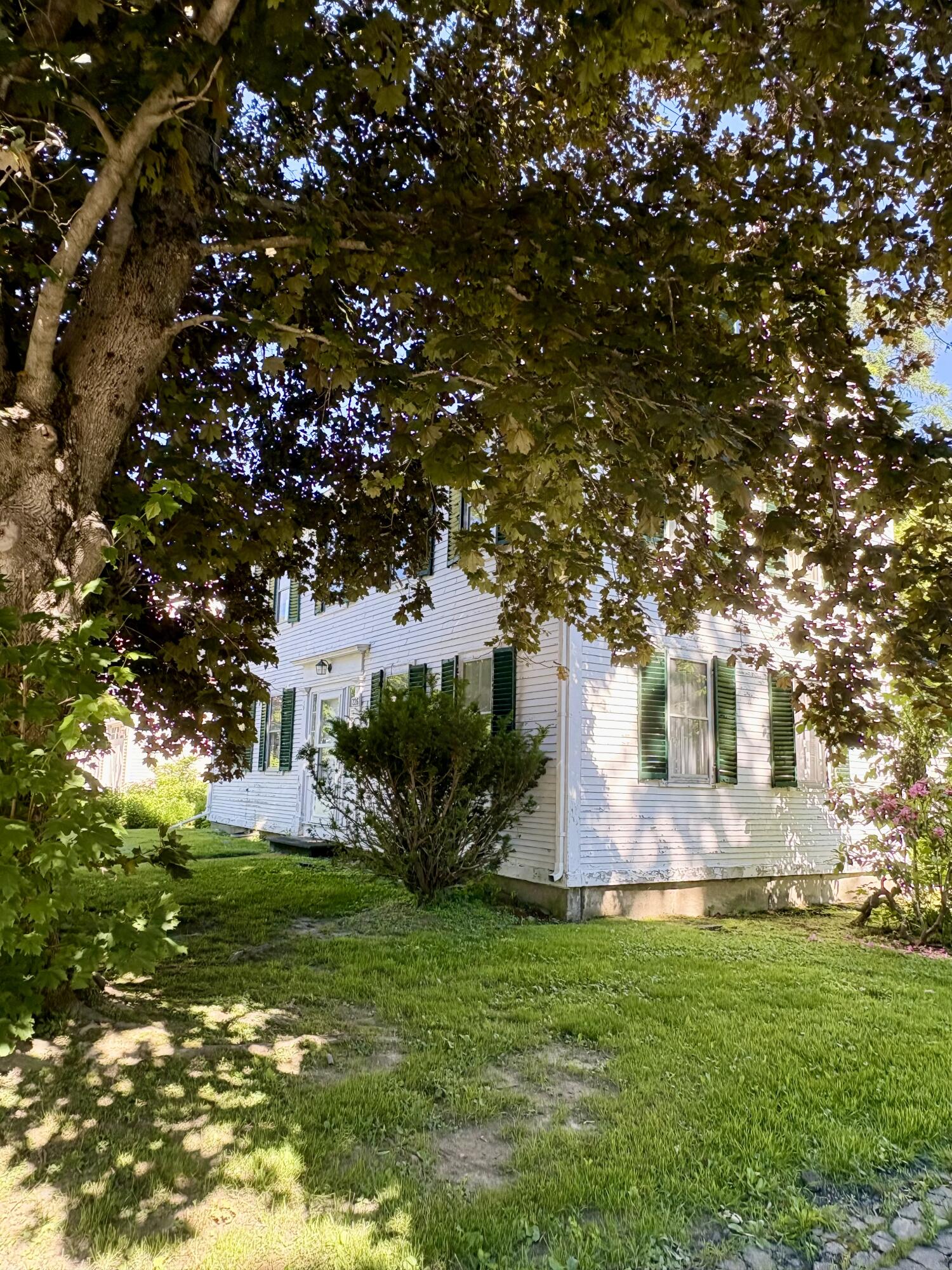 226 Elm Street Property Photo 4