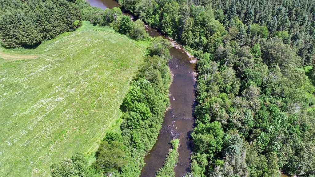 Lot 7 Drews Lake Road Property Photo 5
