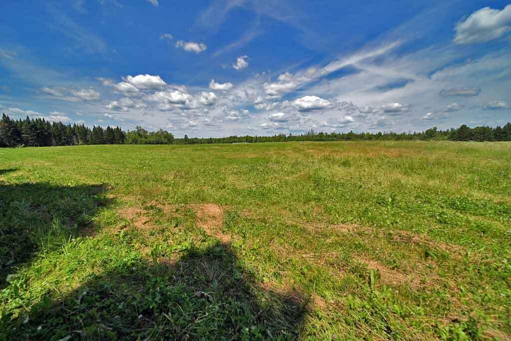 Lot 7 Drews Lake Road Property Photo 6