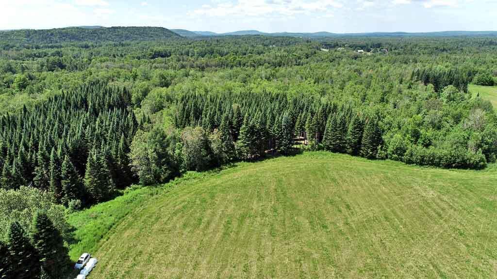 Lot 7 Drews Lake Road Property Photo 11