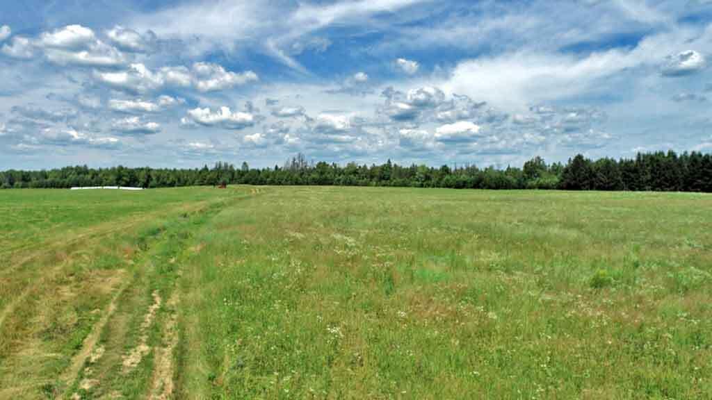 Lot 7 Drews Lake Road Property Photo 18