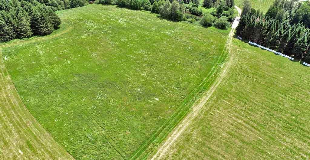Lot 7 Drews Lake Road Property Photo 19