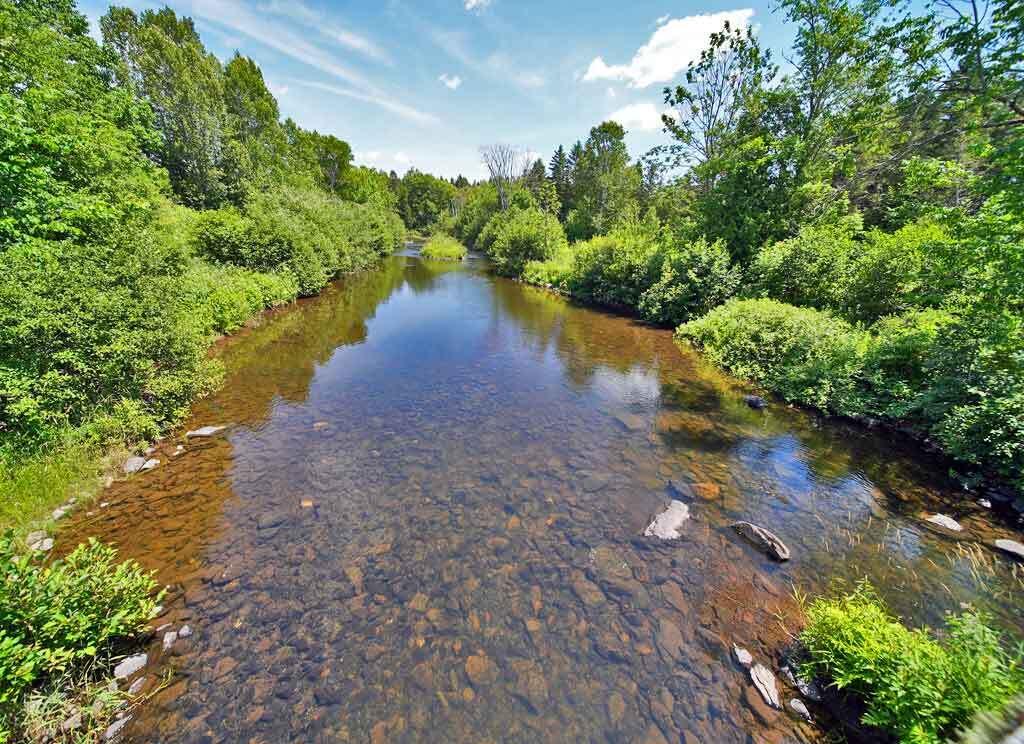 Lot 7 Drews Lake Road Property Photo 32