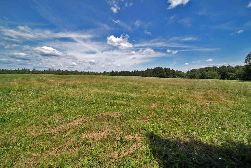 Lot 7 Drews Lake Road Property Photo 33