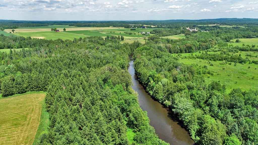 Lot 7 Drews Lake Road Property Photo 34