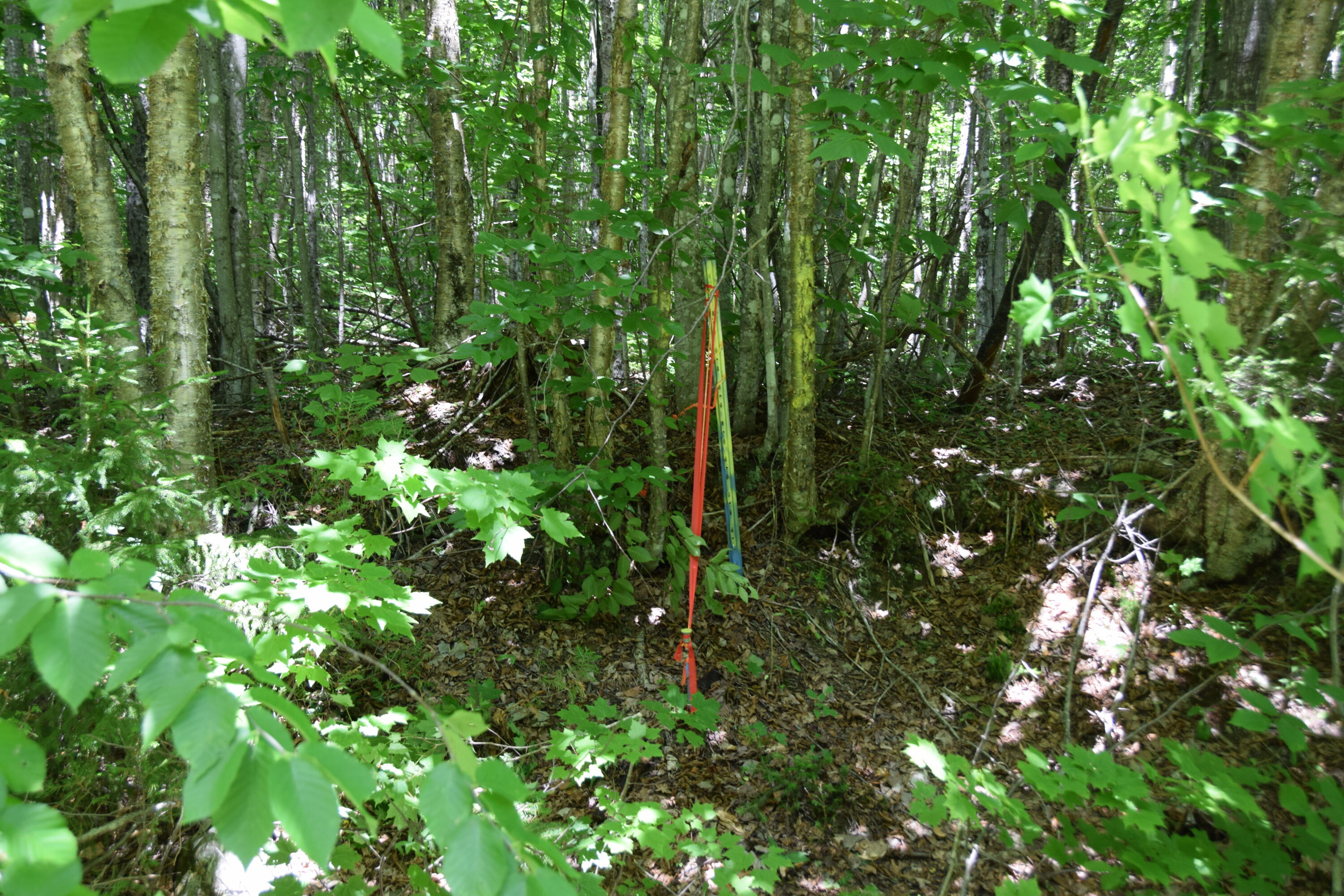Mso3 L16 Flow Road Property Photo 1