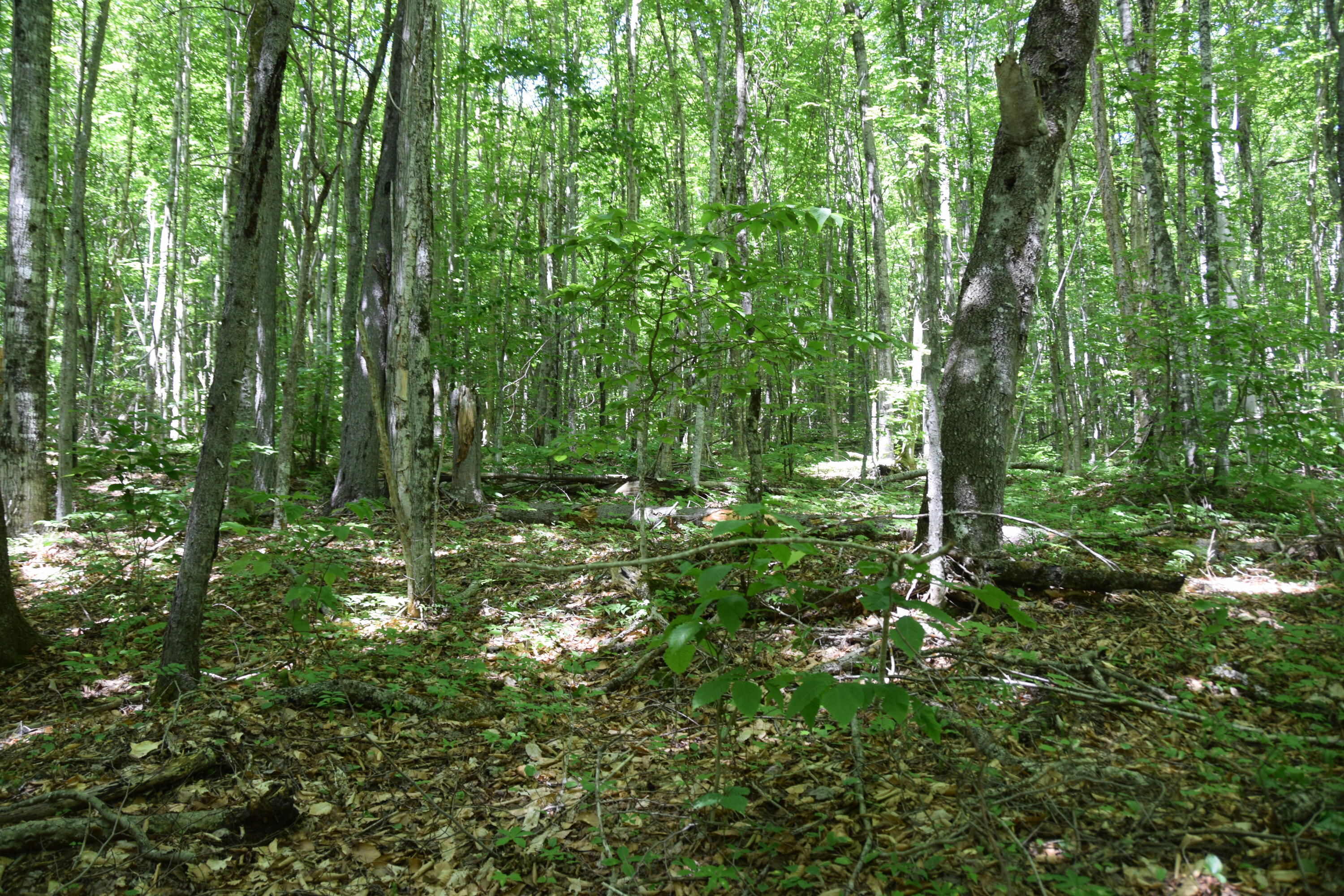 Mso3 L16 Flow Road Property Photo 2