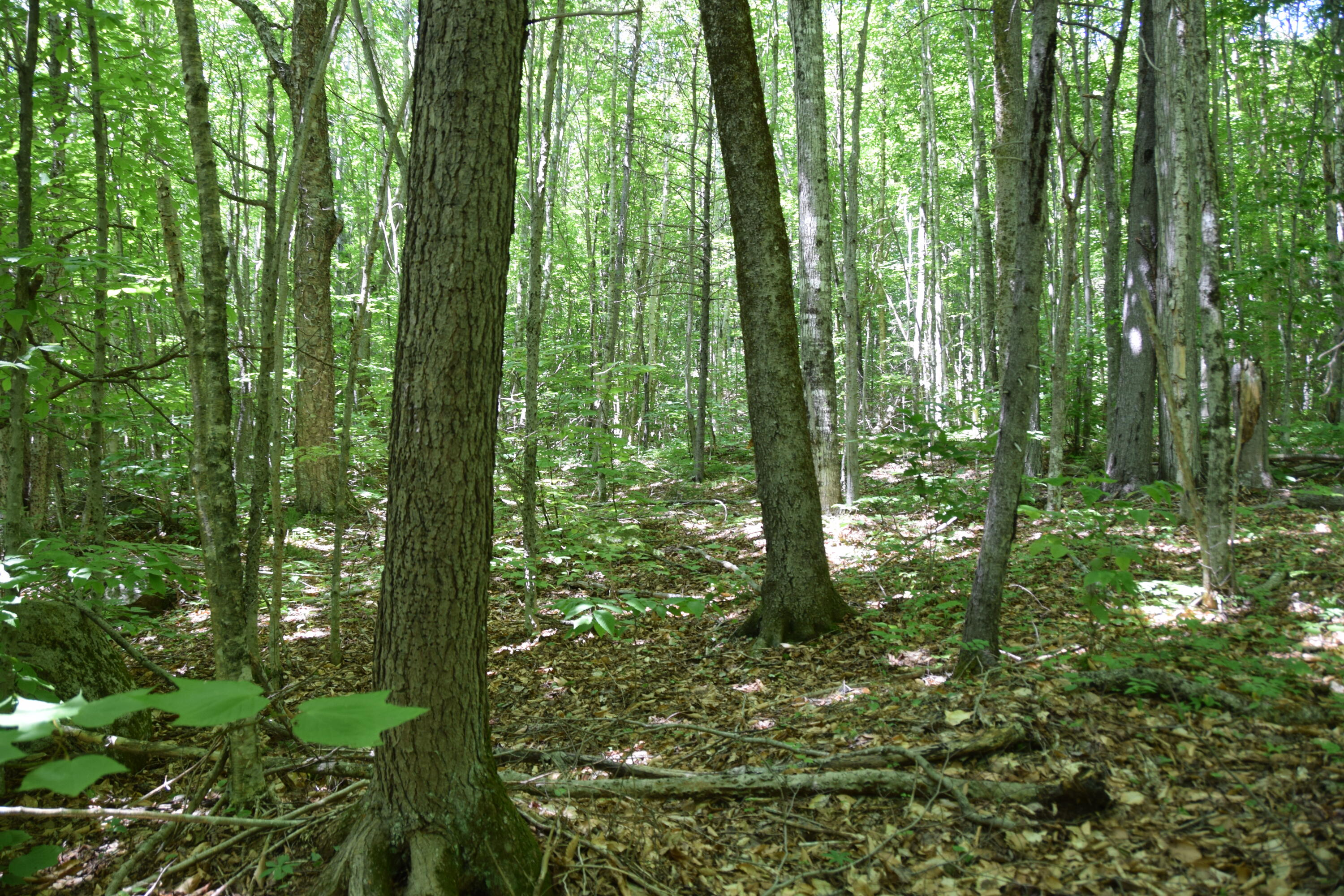 Mso3 L16 Flow Road Property Photo 3