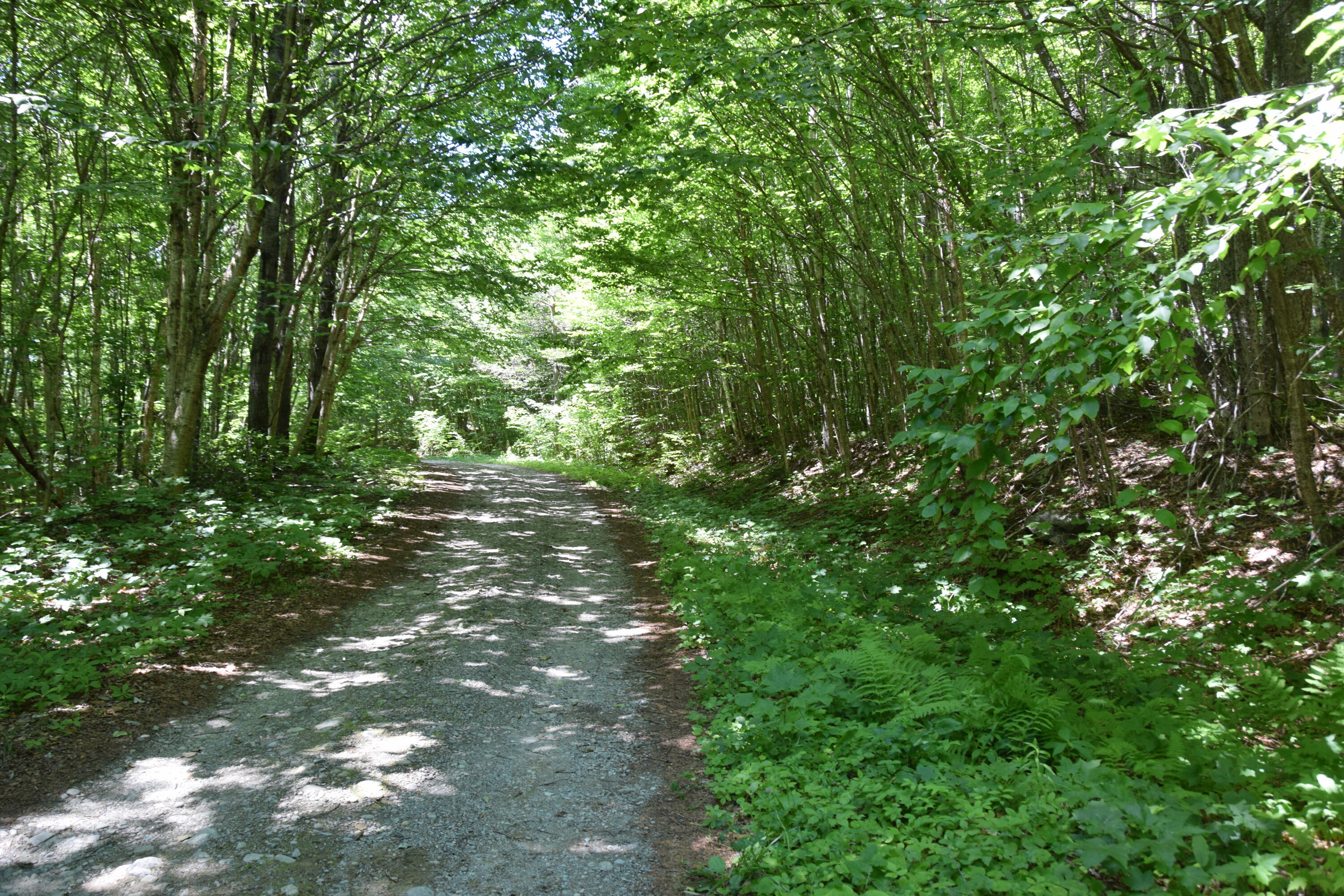 Mso3 L16 Flow Road Property Photo 4