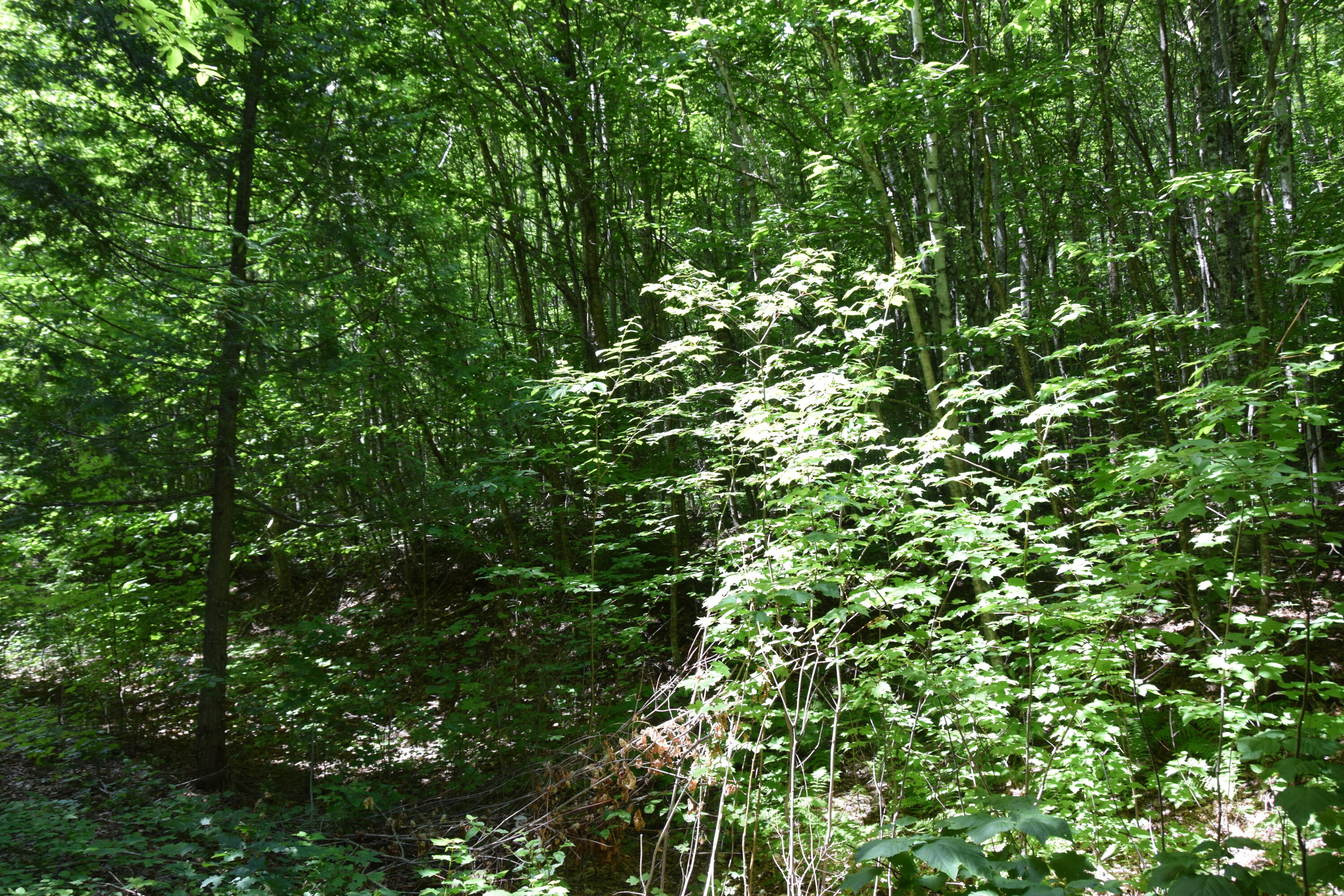 Mso3 L16 Flow Road Property Photo 6