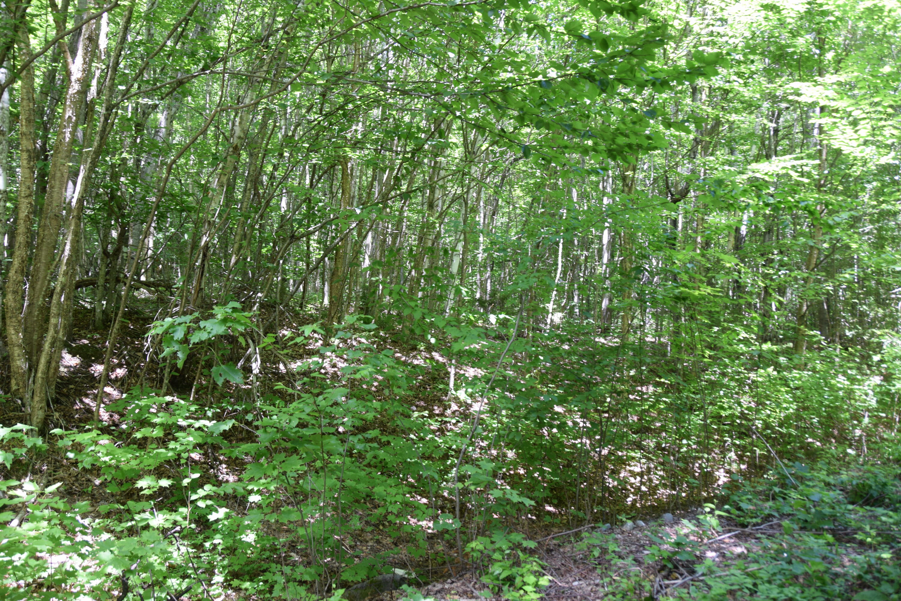 Mso3 L16 Flow Road Property Photo 7