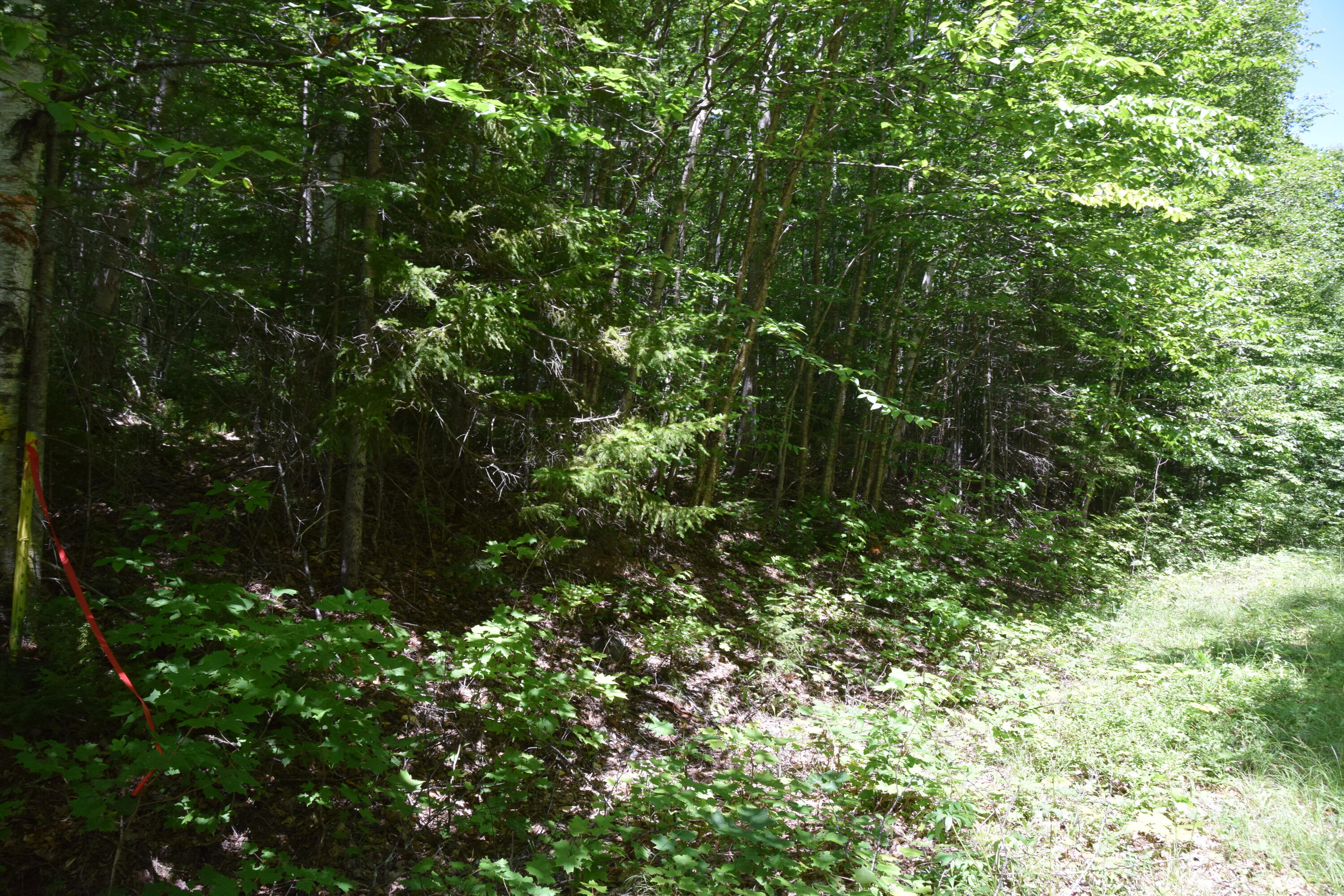 Mso3 L16 Flow Road Property Photo 8