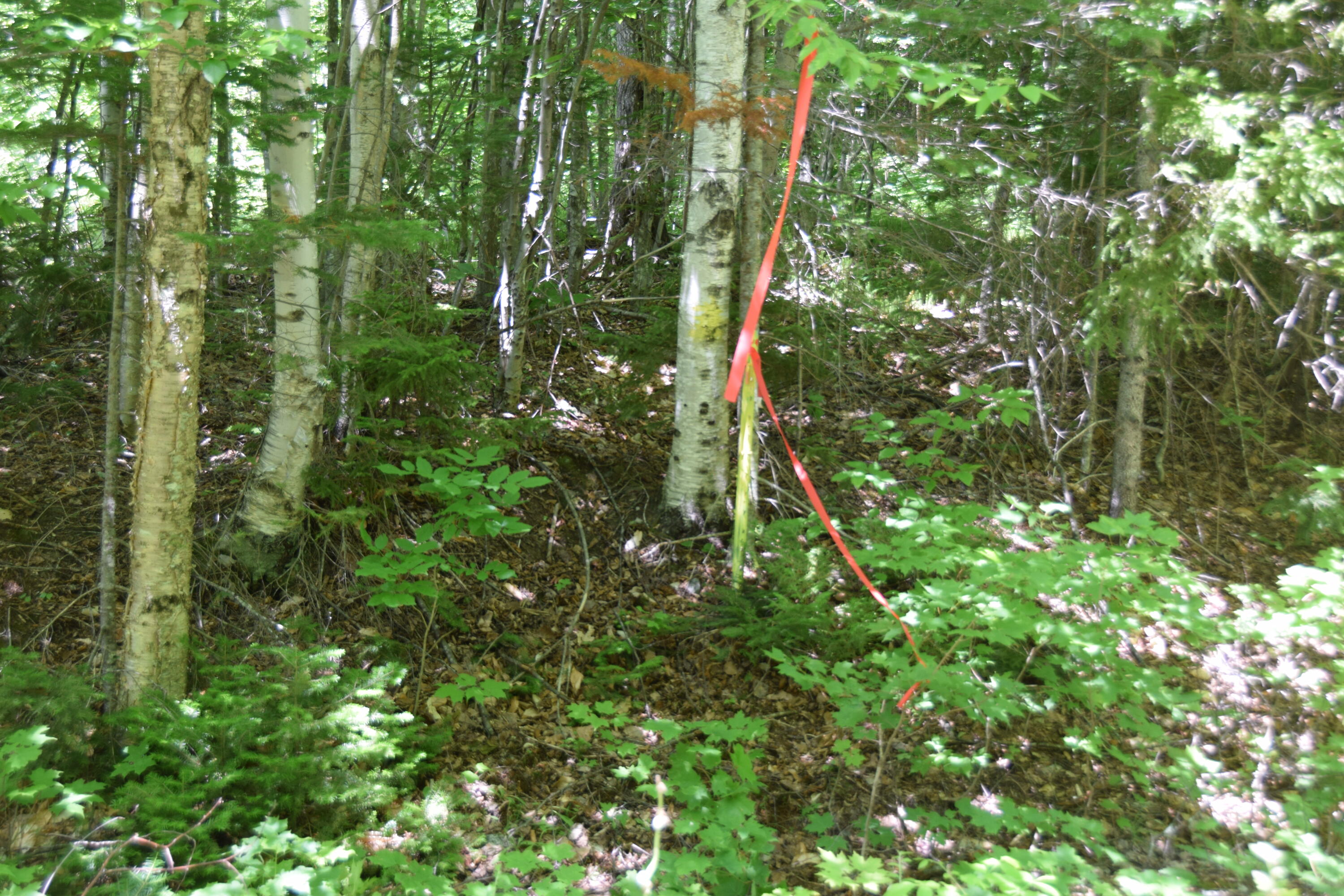 Mso3 L16 Flow Road Property Photo 9