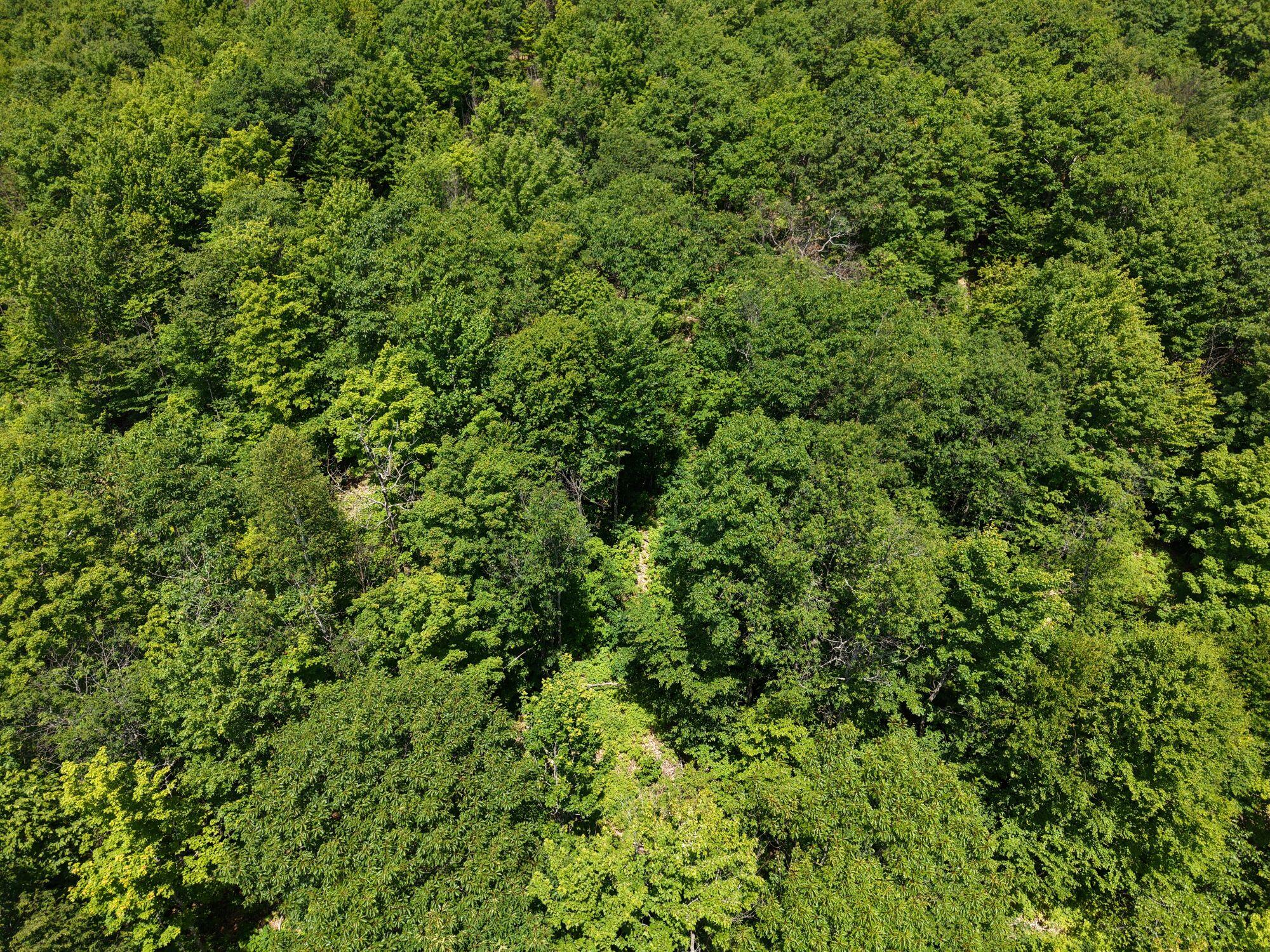 Mso3 L16 Flow Road Property Photo 15