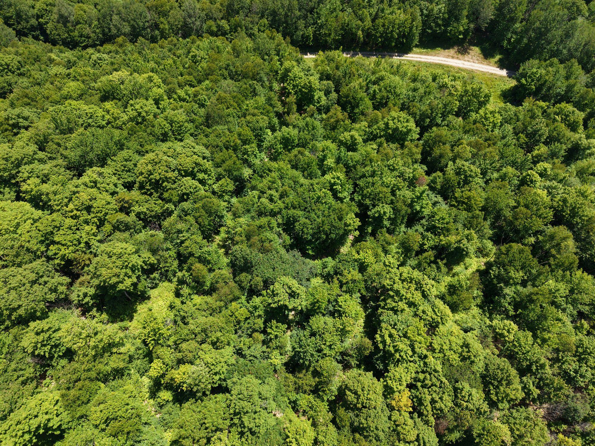 Mso3 L16 Flow Road Property Photo 17