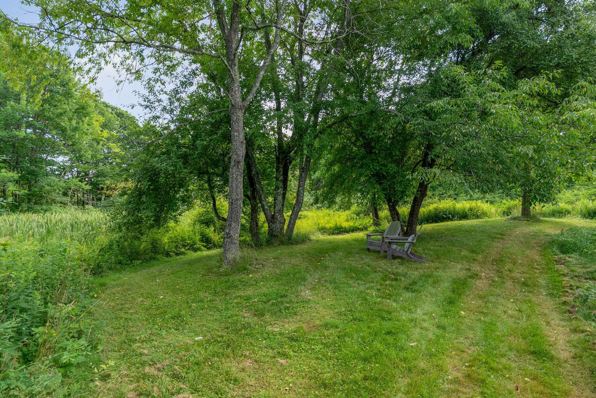 305 Windham Center Road Property Photo 66