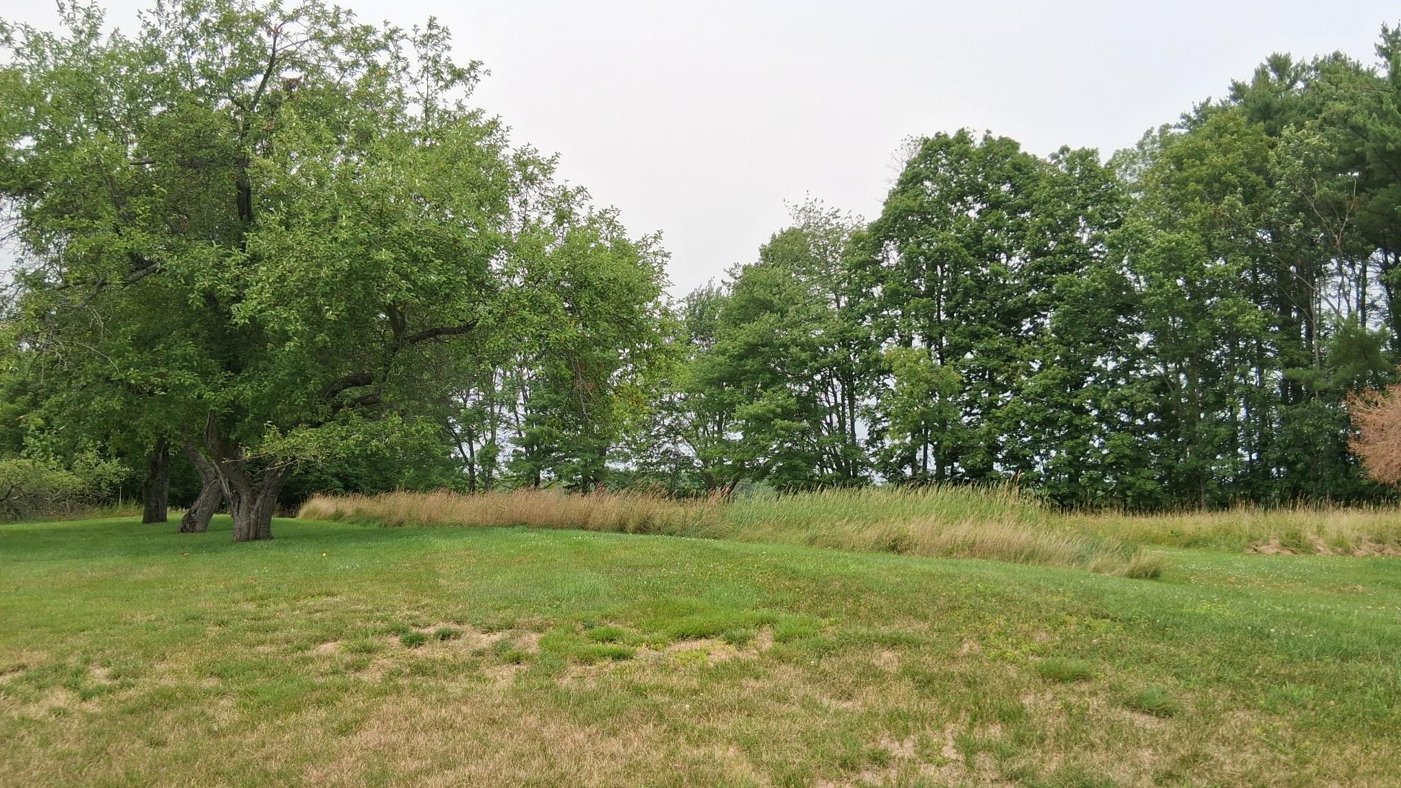 380 Clinton Avenue Property Photo 67