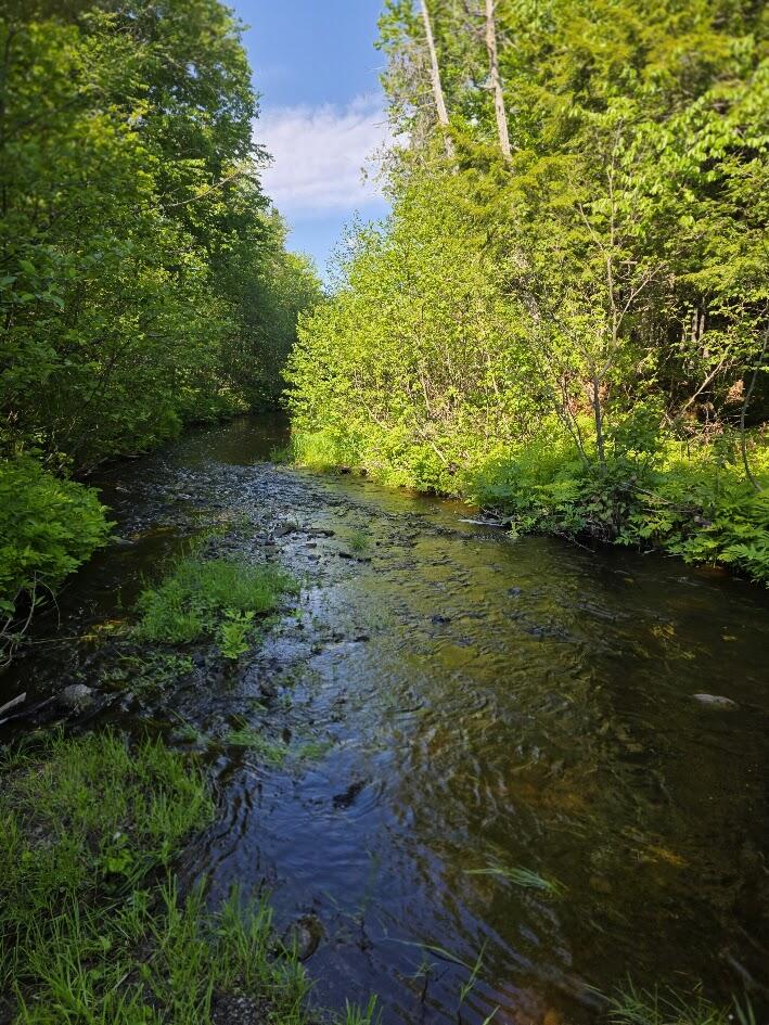 Lot 10 Davis Brook Road Property Photo 1