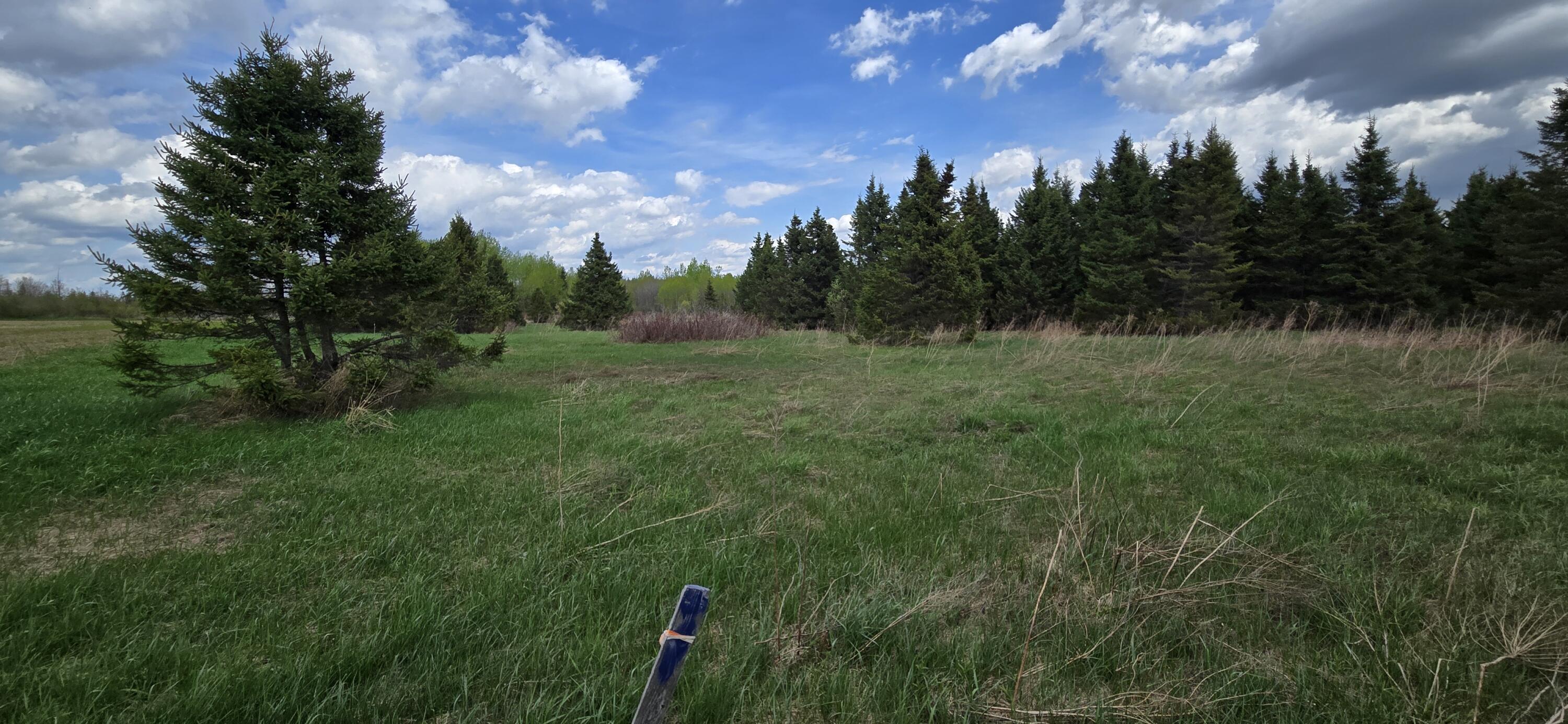 M13 L6c Property Photo 5
