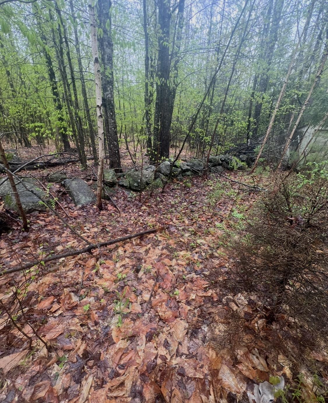 Lot #005 Senator Black Road Property Photo 1