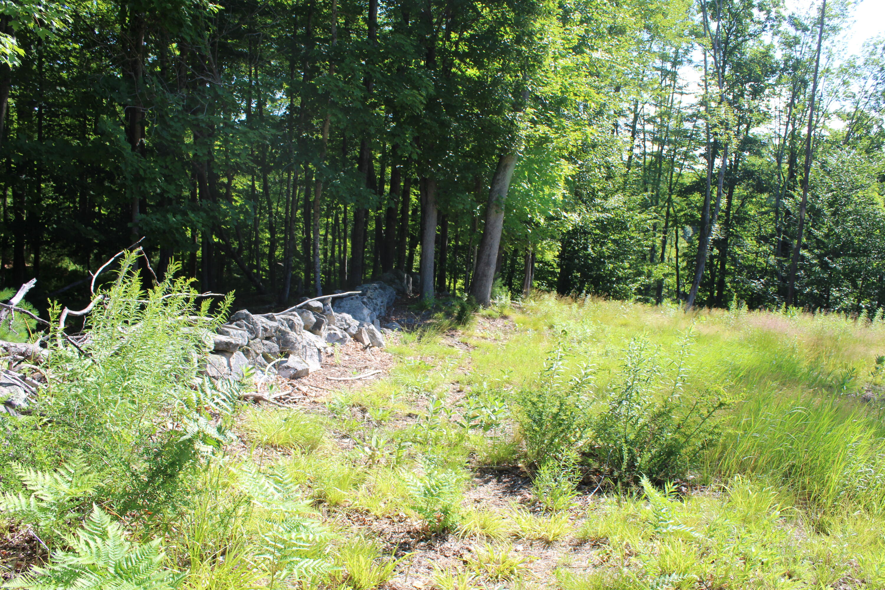 67 Main Street Property Photo 25