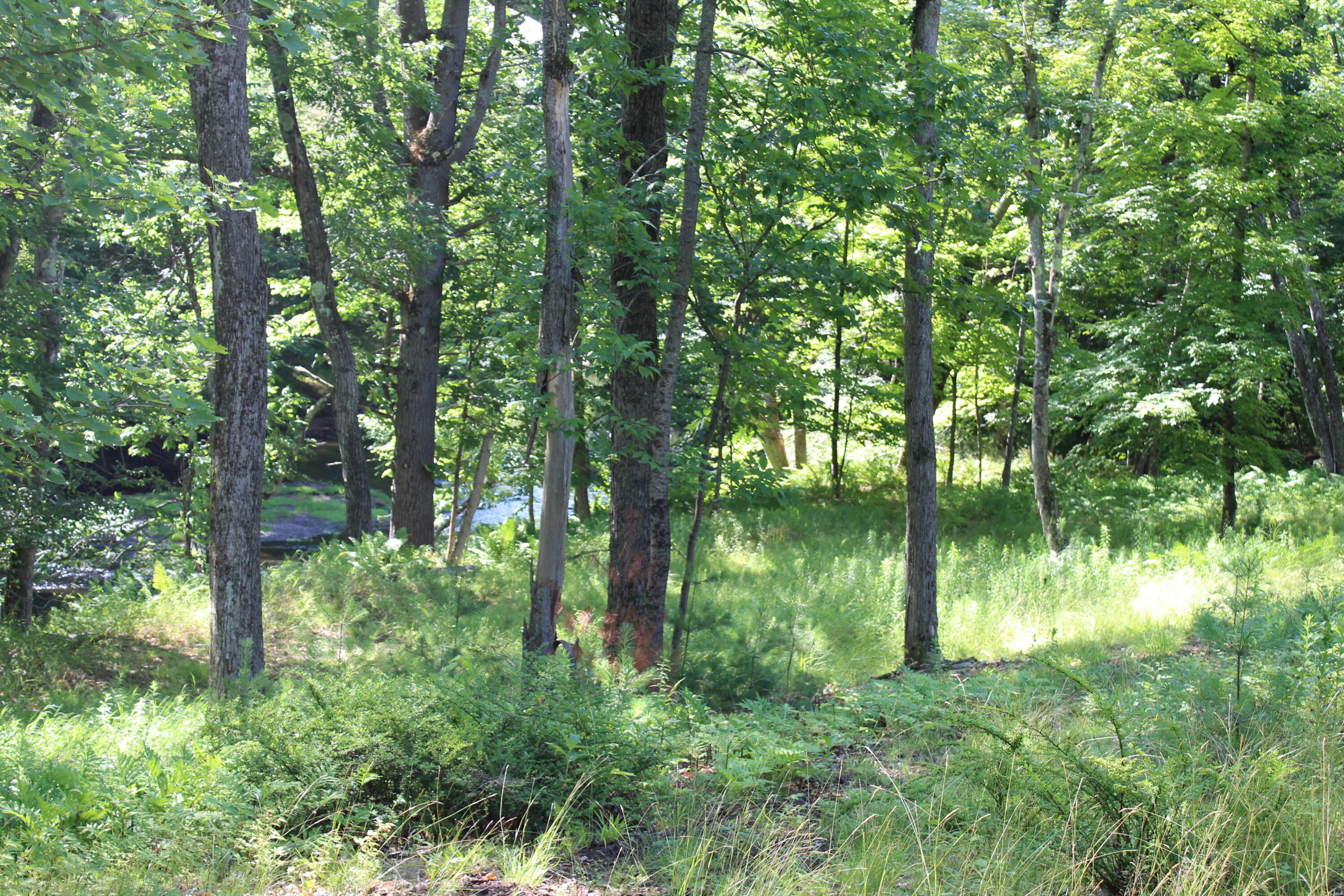 67 Main Street Property Photo 26
