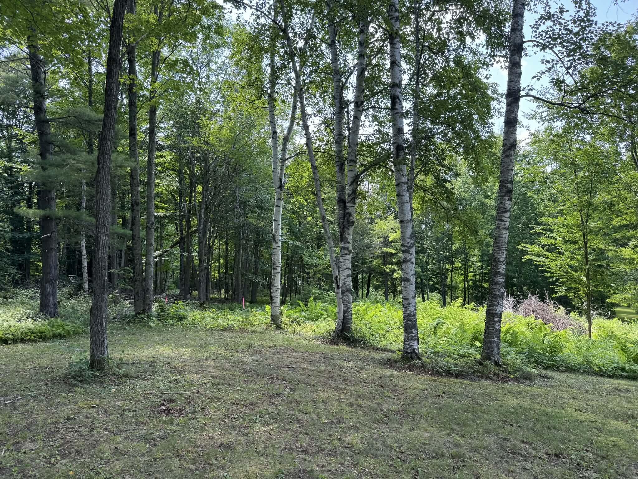 49 Blanchard Road Property Photo 50